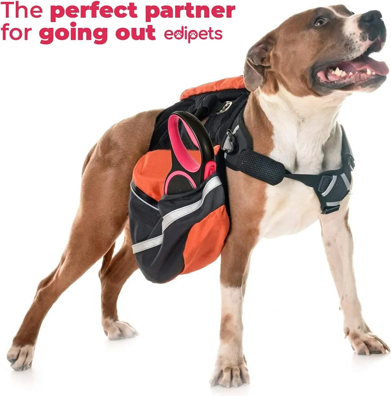 Edipets, Guinzaglio per Cani Allungabile, Retrattile, 5 e 8 Metri, Guinzaglio Flessibile per Addestramento e Passeggiate (Rosa, 5 metri <20kg) - immagine 5