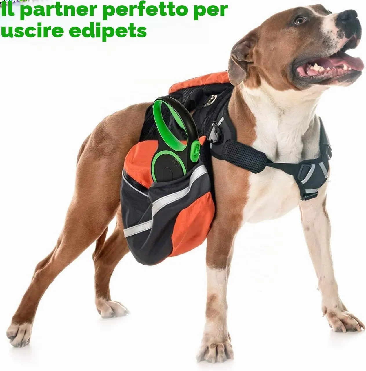 Edipets, Guinzaglio per Cani Allungabile, Retrattile, 5 e 8 Metri, Guinzaglio Flessibile per Addestramento e Passeggiate (Verde, 8 metri) - immagine 5