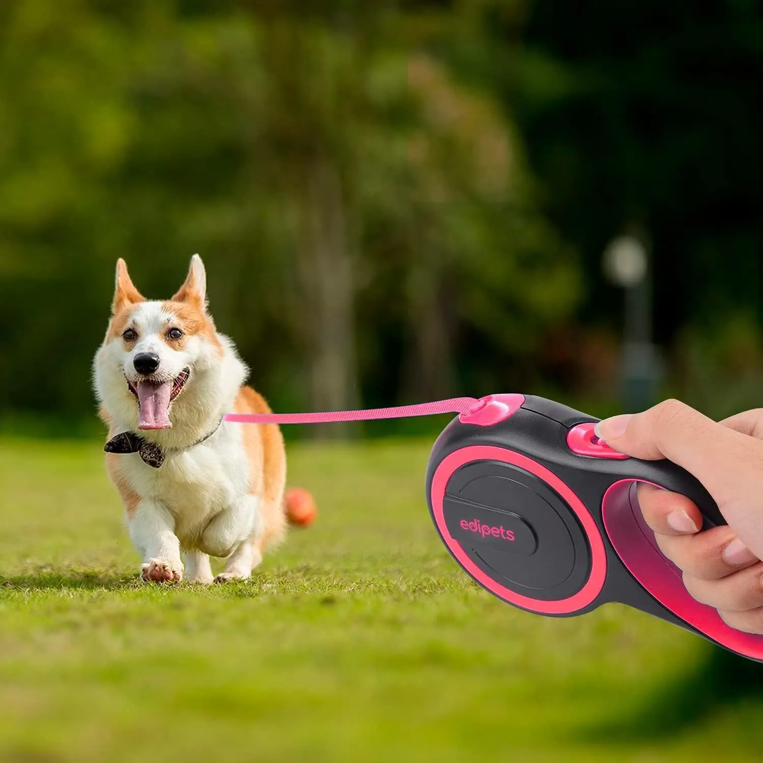 Edipets, Guinzaglio per Cani Allungabile, Retrattile, 5 e 8 Metri, Guinzaglio Flessibile per Addestramento e Passeggiate (Rosa, 5 metri <50kg) - immagine 6