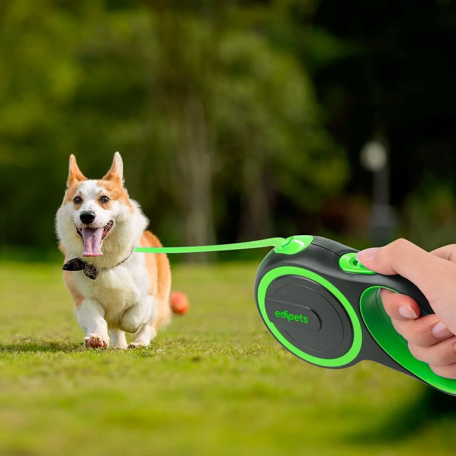Edipets, Guinzaglio per Cani Allungabile, Retrattile, 5 e 8 Metri, Guinzaglio Flessibile per Addestramento e Passeggiate (Verde, 5 metri <20kg) - immagine 6