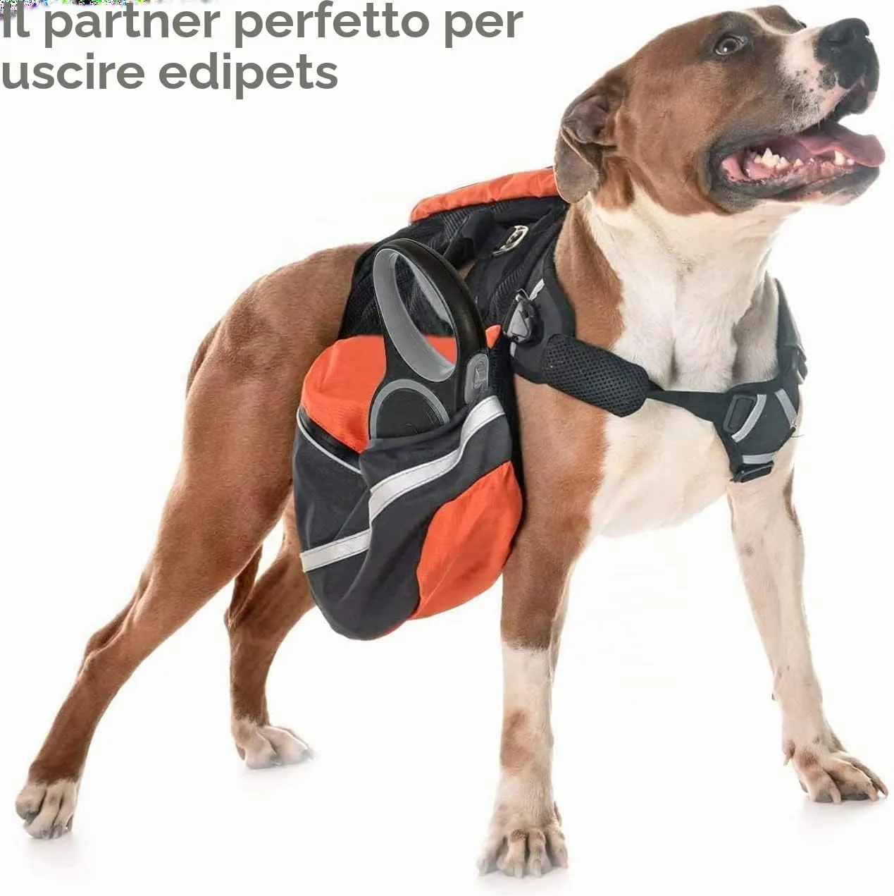 Edipets, Guinzaglio per Cani Allungabile, Retrattile, 5 e 8 Metri, Guinzaglio Flessibile per Addestramento e Passeggiate (Grigio, 8 metri) - immagine 5