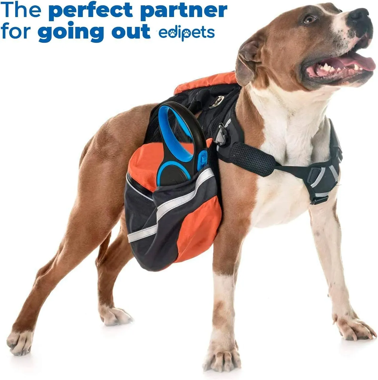Edipets, Guinzaglio per Cani Allungabile, Retrattile, 5 e 8 Metri, Guinzaglio Flessibile per Addestramento e Passeggiate (Blu, 5 metri <50kg) - immagine 5