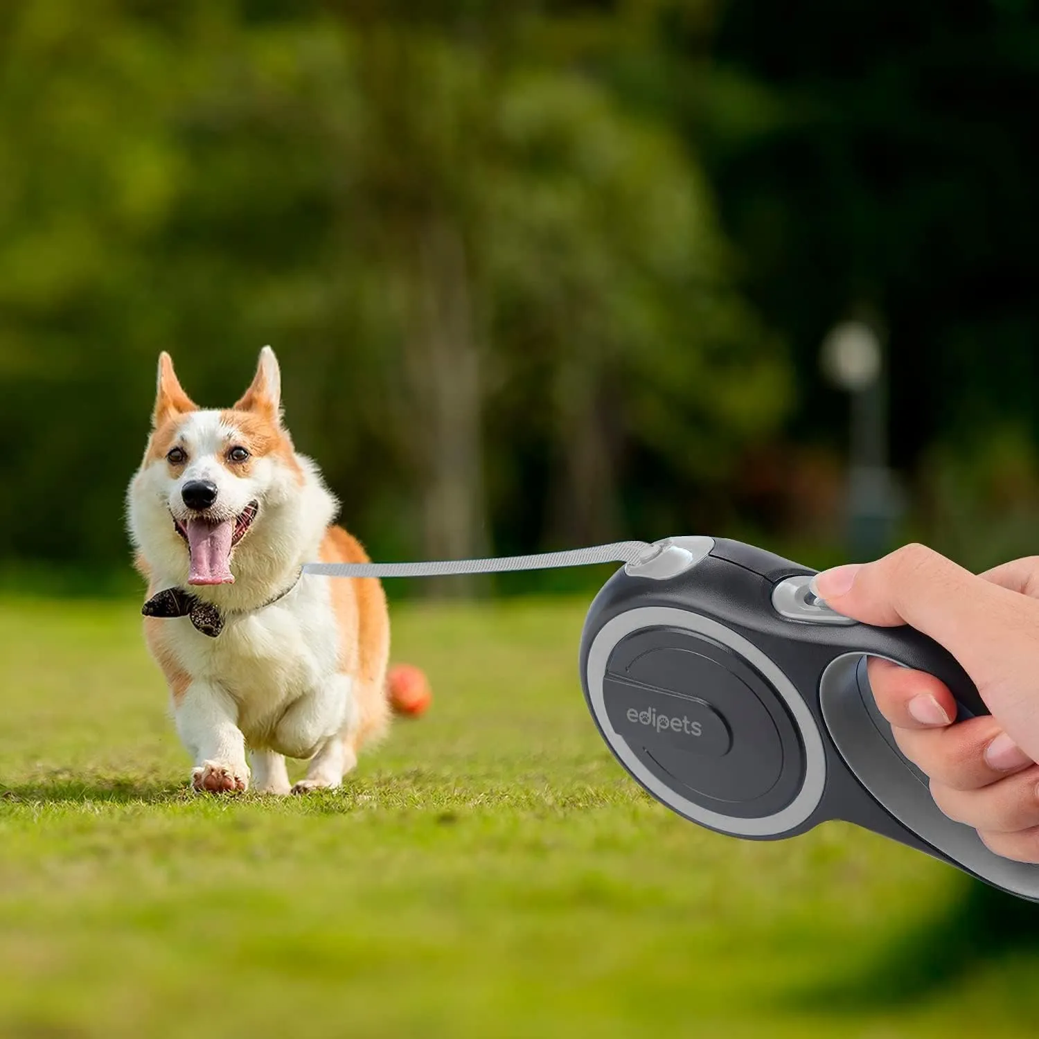Edipets, Guinzaglio per Cani Allungabile, Retrattile, 5 e 8 Metri, Guinzaglio Flessibile per Addestramento e Passeggiate (Grigio, 5 metri <50kg) - immagine 6