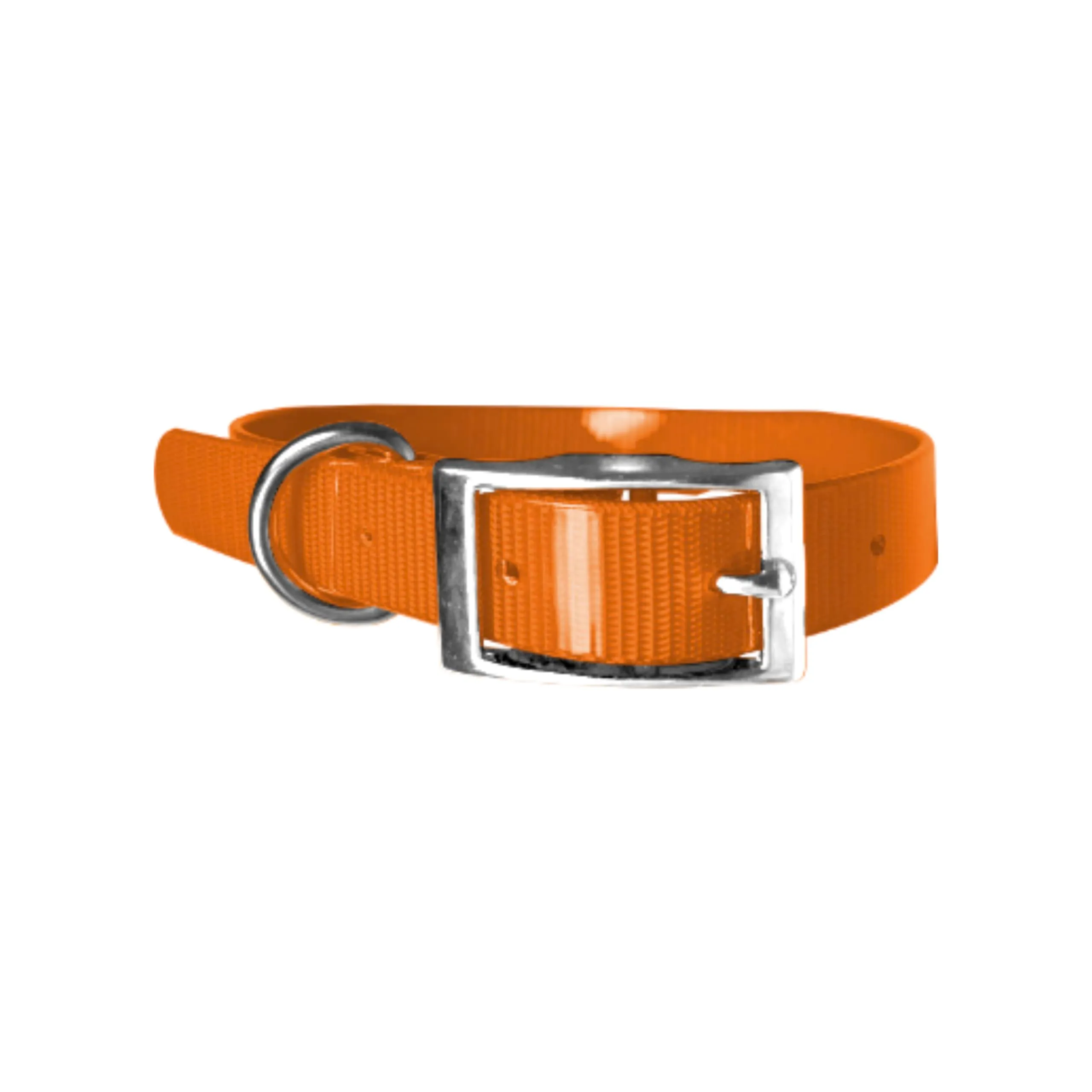 Biothane Gold - Collare per cani da 2,5 cm di larghezza, lunghezza a scelta, ultra resistente (65 cm, arancione 315) - immagine 1