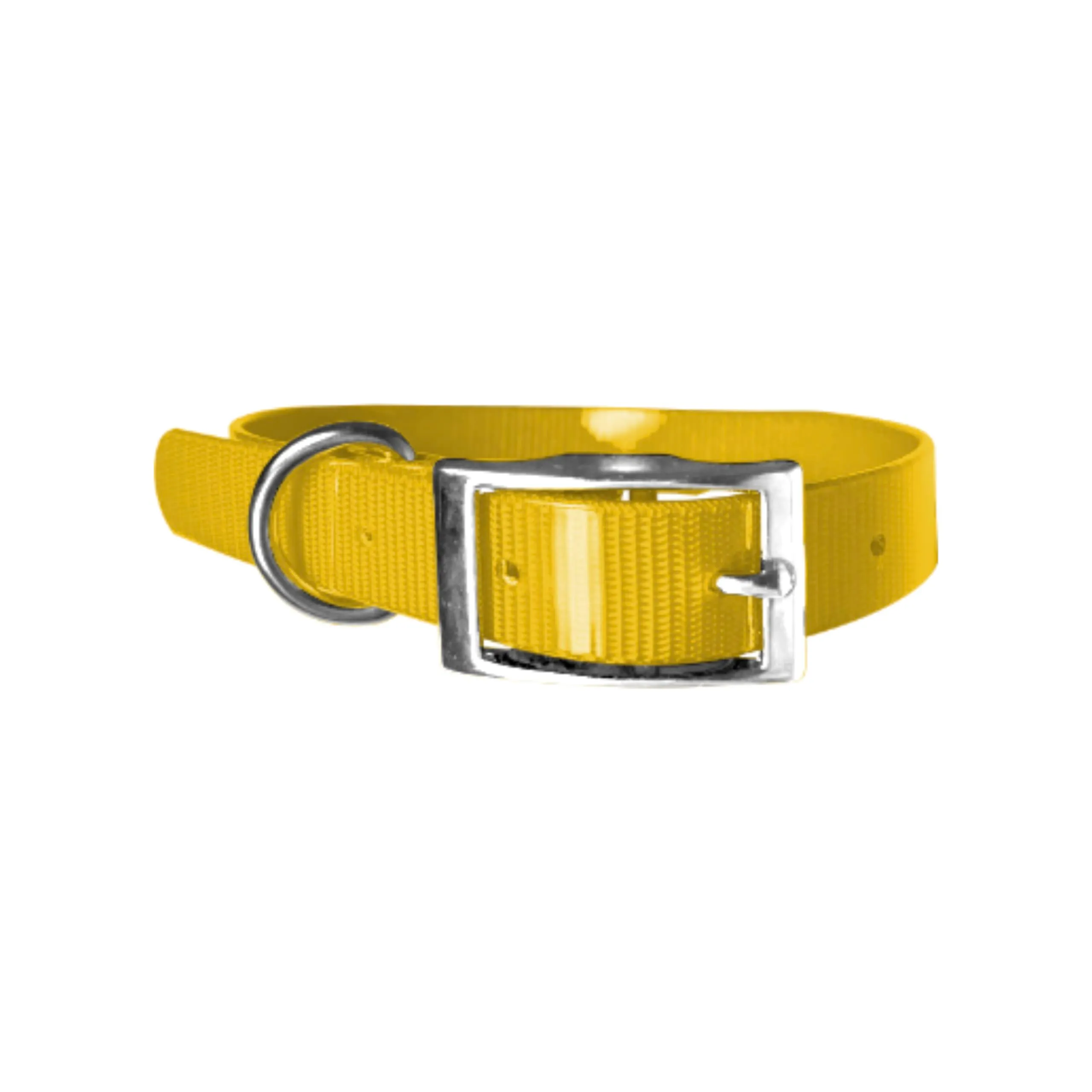 Biothane Gold - Collare per cani da 2,5 cm di larghezza, lunghezza a scelta, ultra resistente (65 cm, giallo 317) - immagine 1