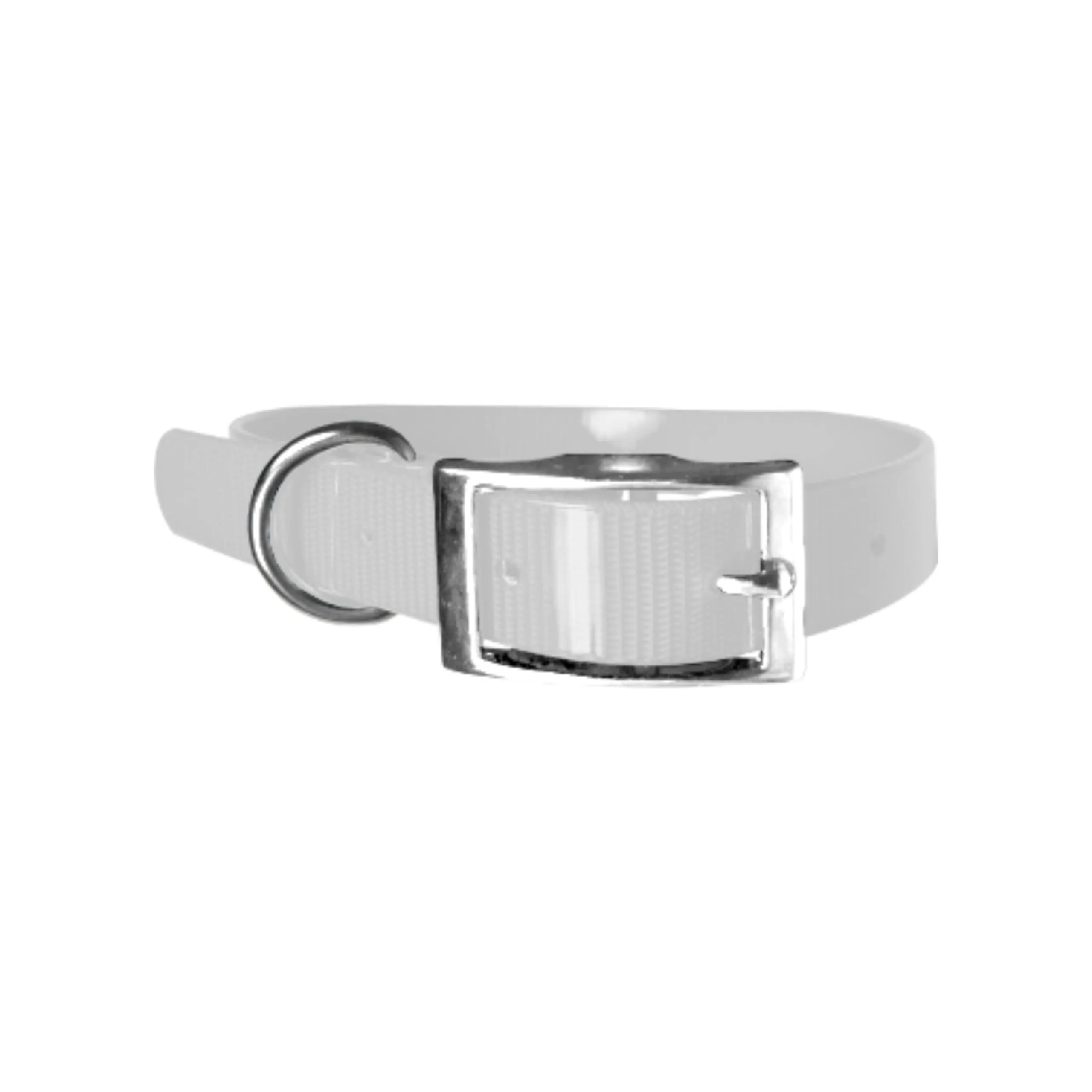 Biothane Gold - Collare per cani da 2,5 cm di larghezza, lunghezza a scelta, ultra resistente (60 cm, bianco 101) - immagine 1