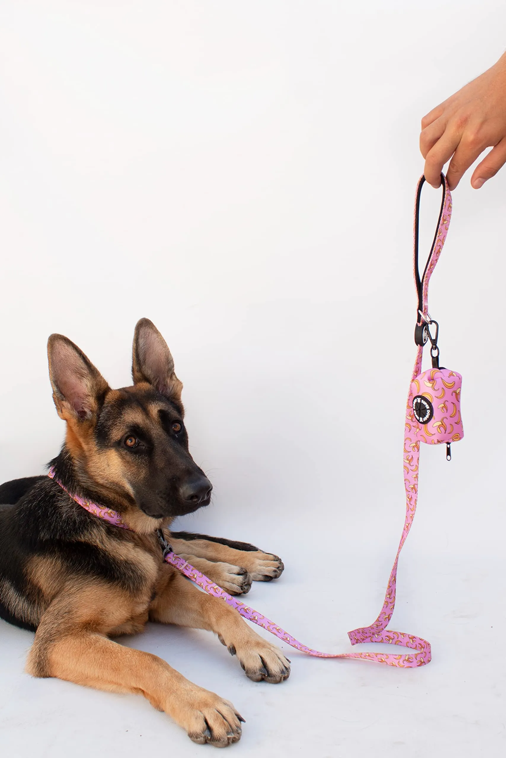 SUPER DOGGY Collare per Cani di Piccola, Media e Grande Taglia - Collari in Nylon Regolabile e Imbottito - Per Passeggiate, Allenamento e Corsa - Leggero e Ideale Cuccioli (Pink Bananas, M (33-55cm)) - immagine 5