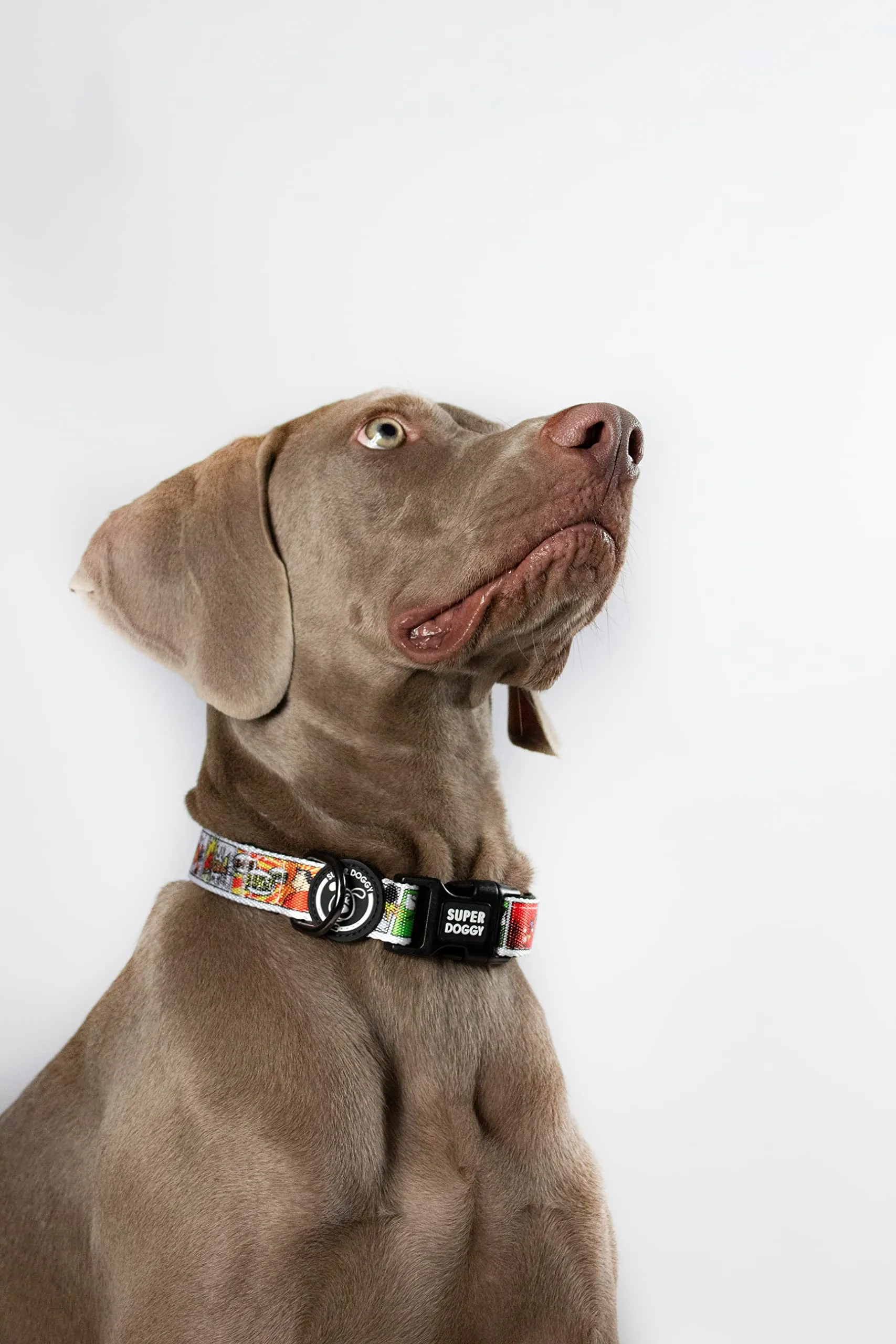 SUPER DOGGY Collare per Cani di Piccola, Media e Grande Taglia - Collari in Nylon Regolabile e Imbottito - Per Passeggiate, Allenamento e Corsa - Leggero e Ideale per i Cuccioli (Cómic, L (40-65cm)) - immagine 5