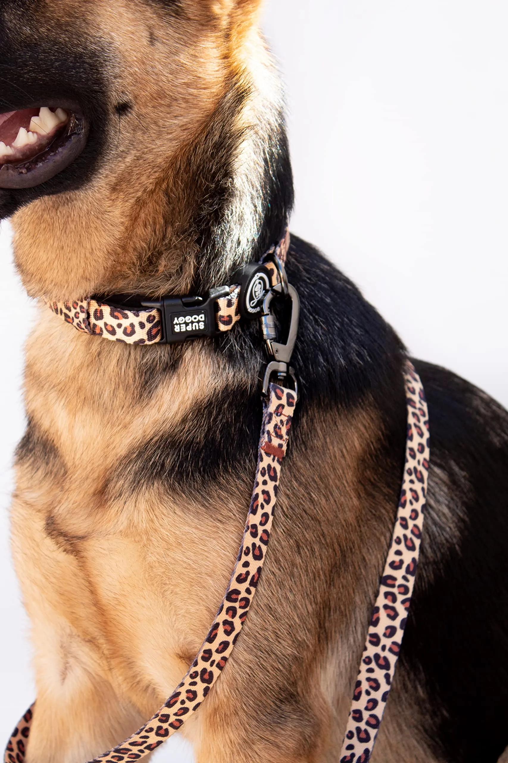 SUPER DOGGY Collare per Cani di Piccola, Media e Grande Taglia - Collari in Nylon Regolabile e Imbottito - Per Passeggiate, Allenamento e Corsa - Leggero e Ideale per i Cuccioli (Leopard, S (25-40cm)) - immagine 5