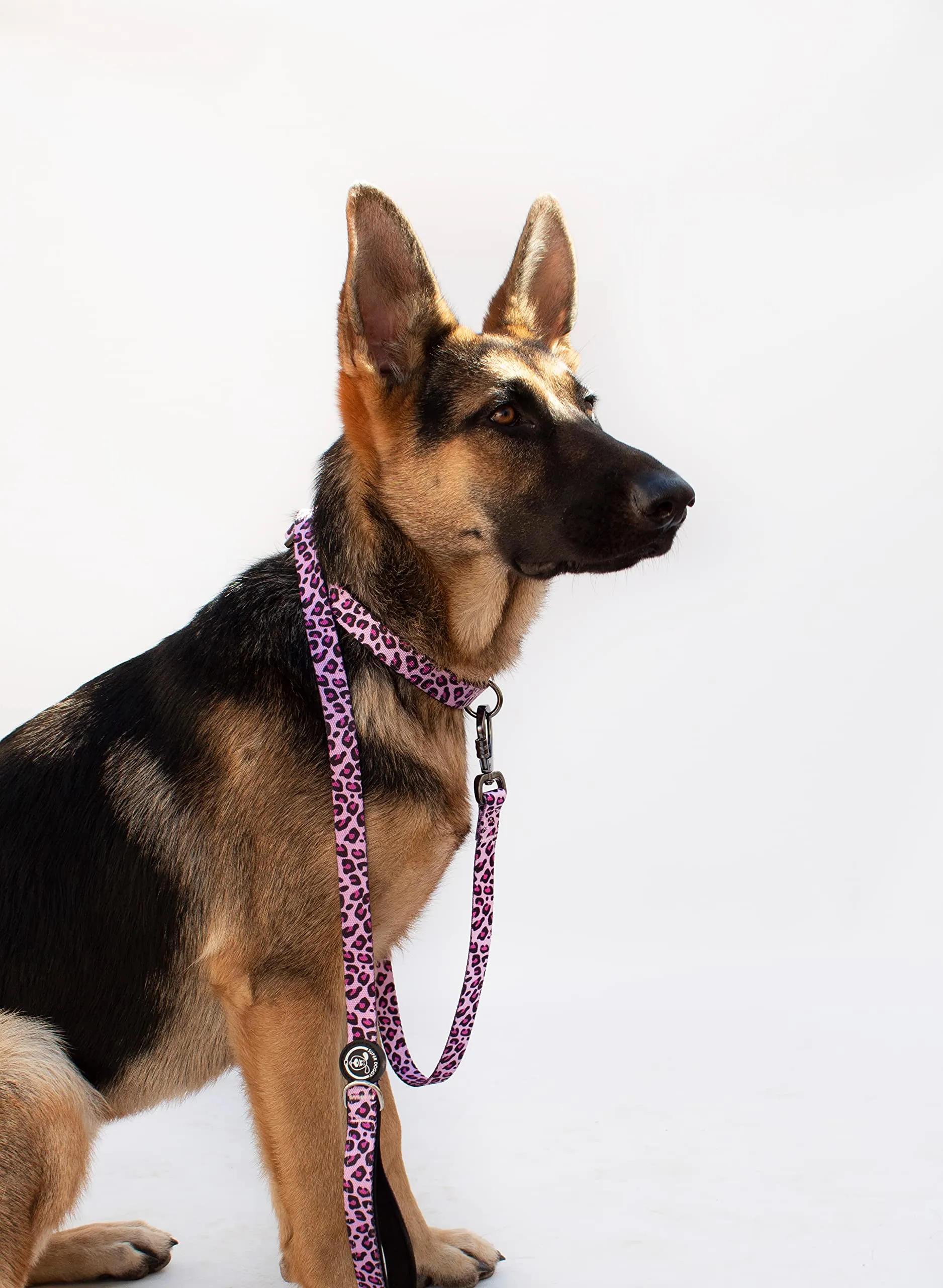 Collare per Cani di Piccola, Media e Grande Taglia - Collari in Nylon Regolabile e Imbottito - Per Passeggiate, Allenamento e Corsa - Leggero e Ideale per i Cuccioli (Pink Leopard, L (40-65cm)) - immagine 5
