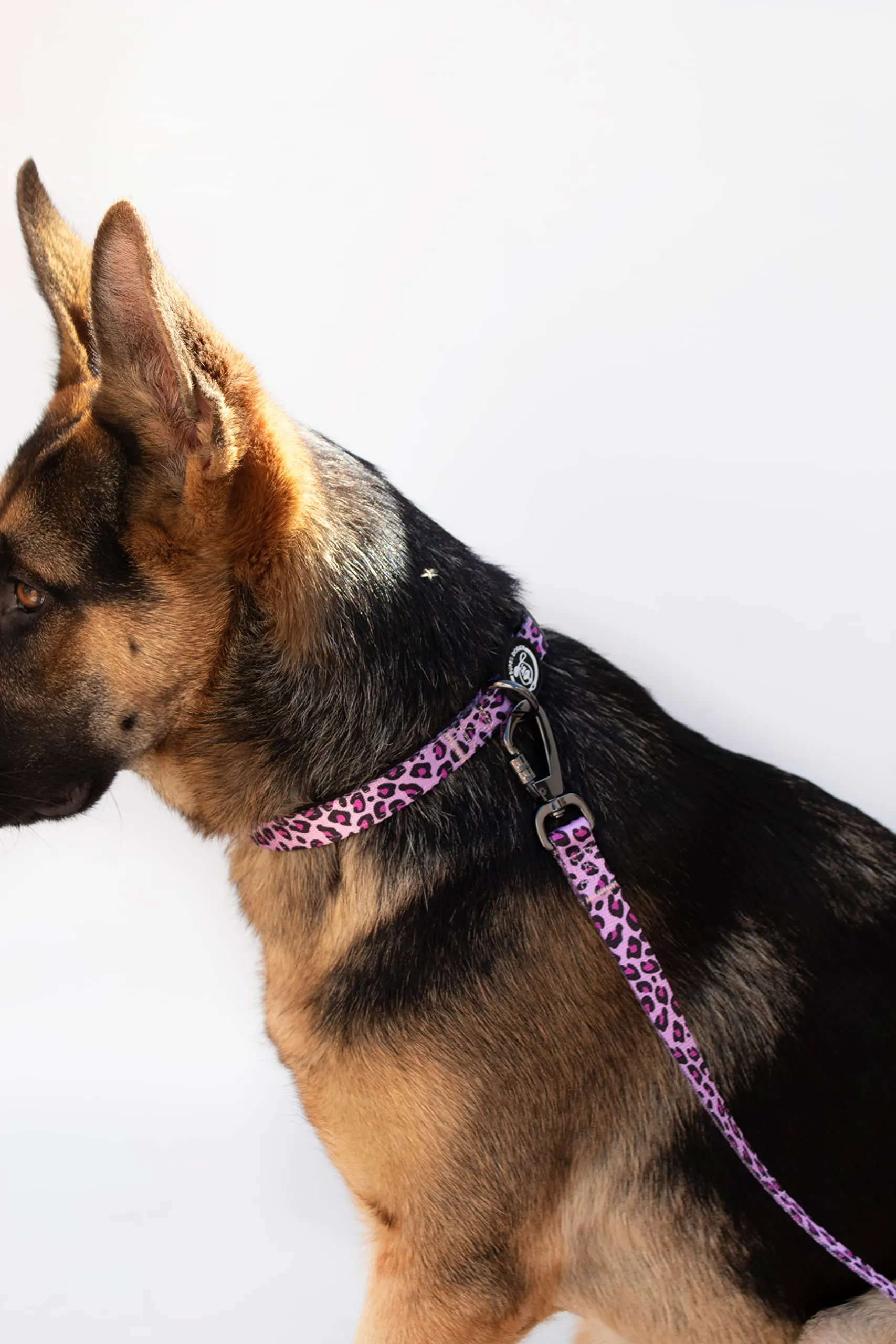 SUPER DOGGY Collare per Cani di Piccola, Media e Grande Taglia - Collari in Nylon Regolabile e Imbottito - Per Passeggiate, Allenamento e Corsa - Leggero e Ideale Cuccioli (Pink Leopard, M (33-55cm)) - immagine 5