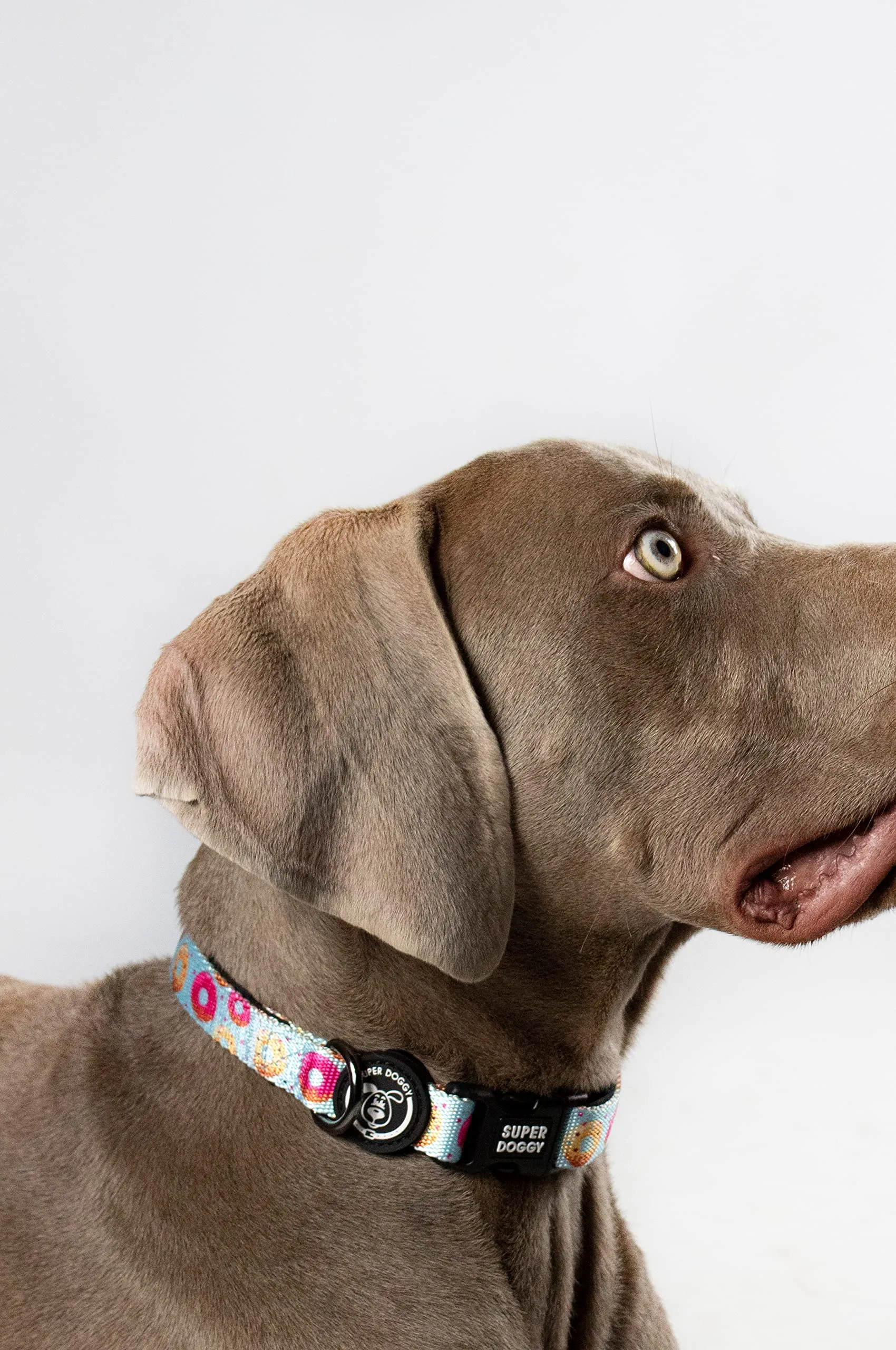 Collare per Cani di Piccola, Media e Grande Taglia - Collari in Nylon Regolabile e Imbottito - Per Passeggiate, Allenamento e Corsa - Leggero e Ideale per i Cuccioli (Donuts, M (33-55cm)) - immagine 5