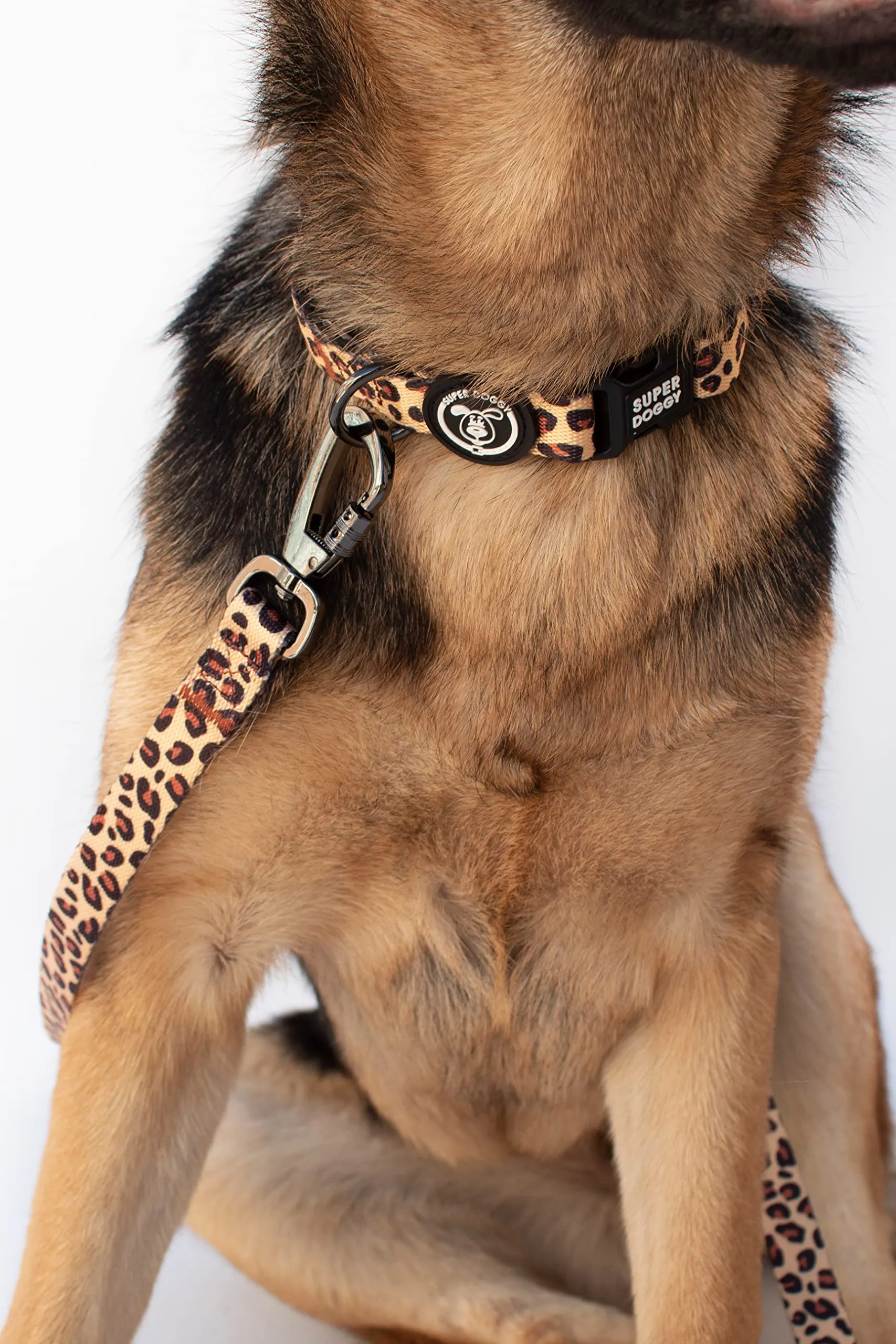 Collare per Cani di Piccola, Media e Grande Taglia - Collari in Nylon Regolabile e Imbottito - Per Passeggiate, Allenamento e Corsa - Leggero e Ideale per i Cuccioli (Leopard, L (40-65cm)) - immagine 5
