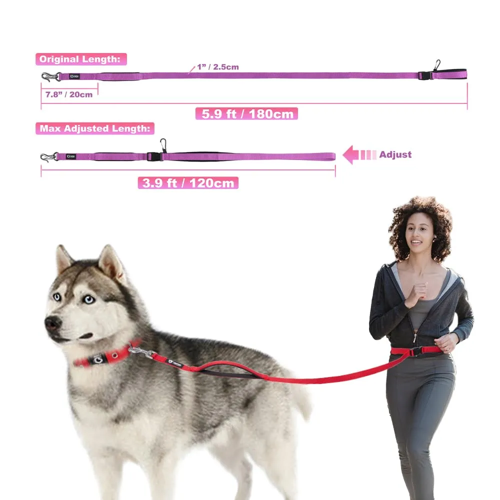TSPRO Guinzaglio Cane Mani Libere Regolabile per Cani Medi e Grandi - immagine 4