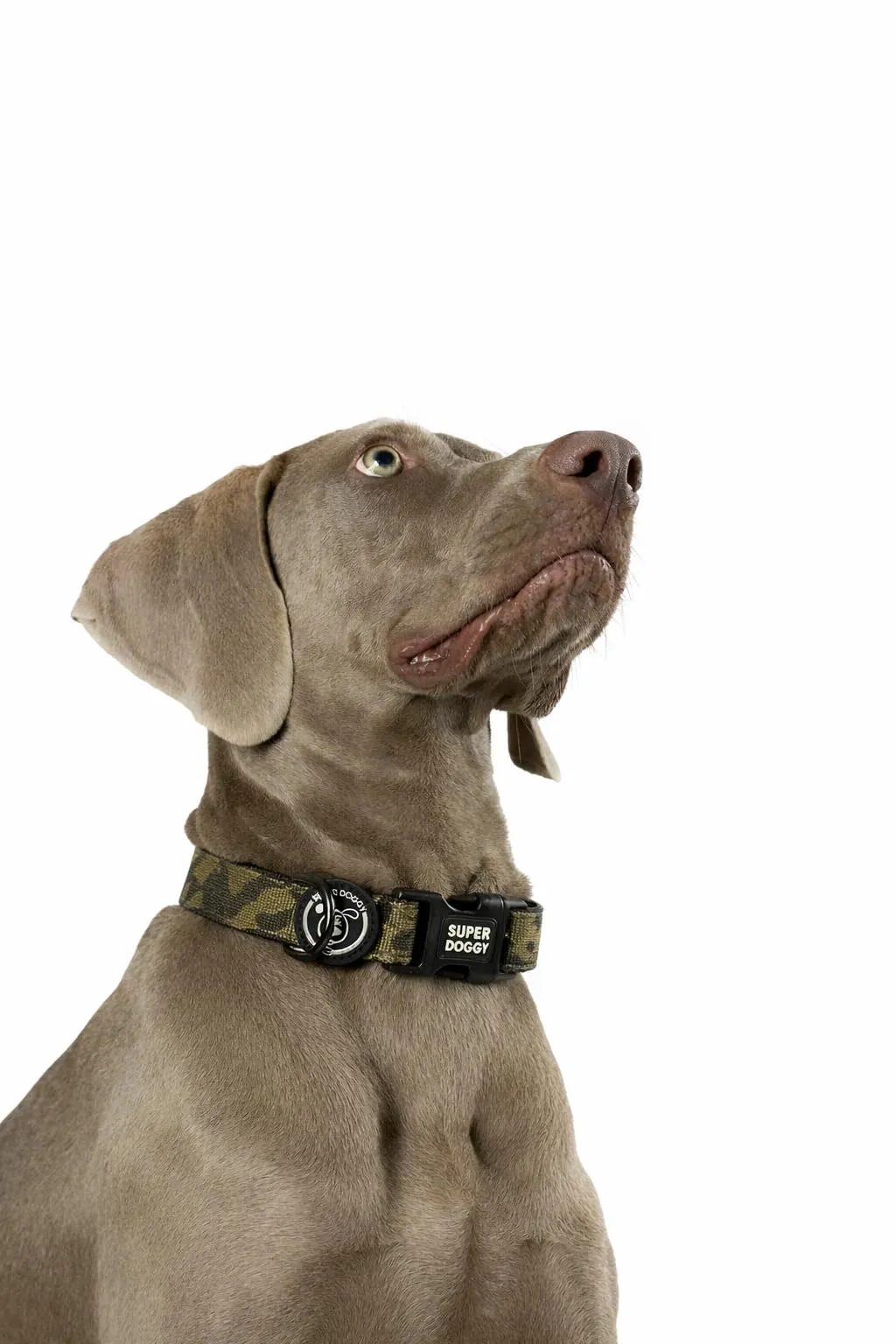 SUPER DOGGY Collare per Cani di Piccola, Media e Grande Taglia - Collari in Nylon Regolabile e Imbottito - Per Passeggiate, Allenamento e Corsa - Leggero per i Cuccioli (Camouflage, L (40-65cm)) - immagine 5