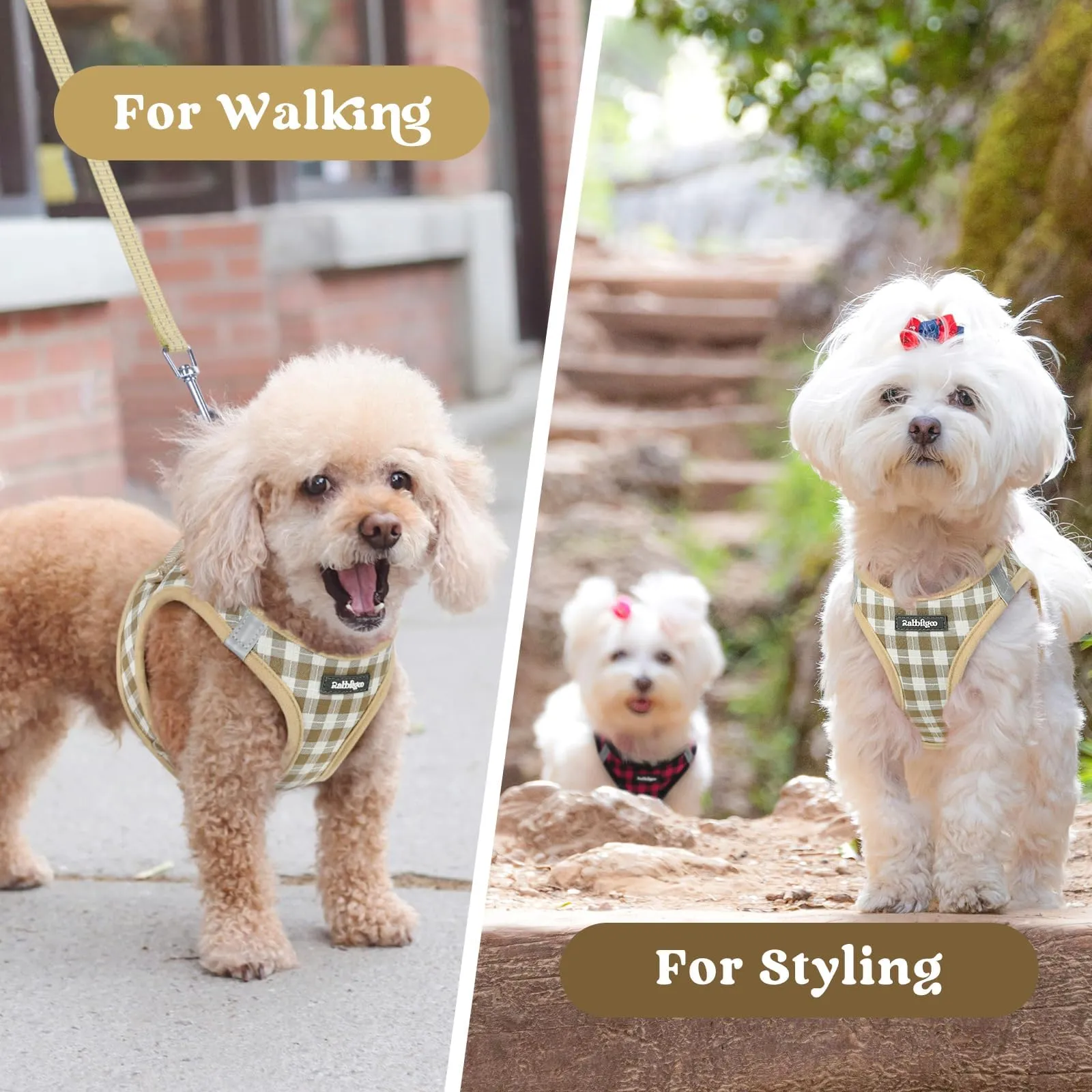 rabbitgoo Pettorina Cane Taglia Piccola, Leggero e Morbido, Quadri Beige M - immagine 9