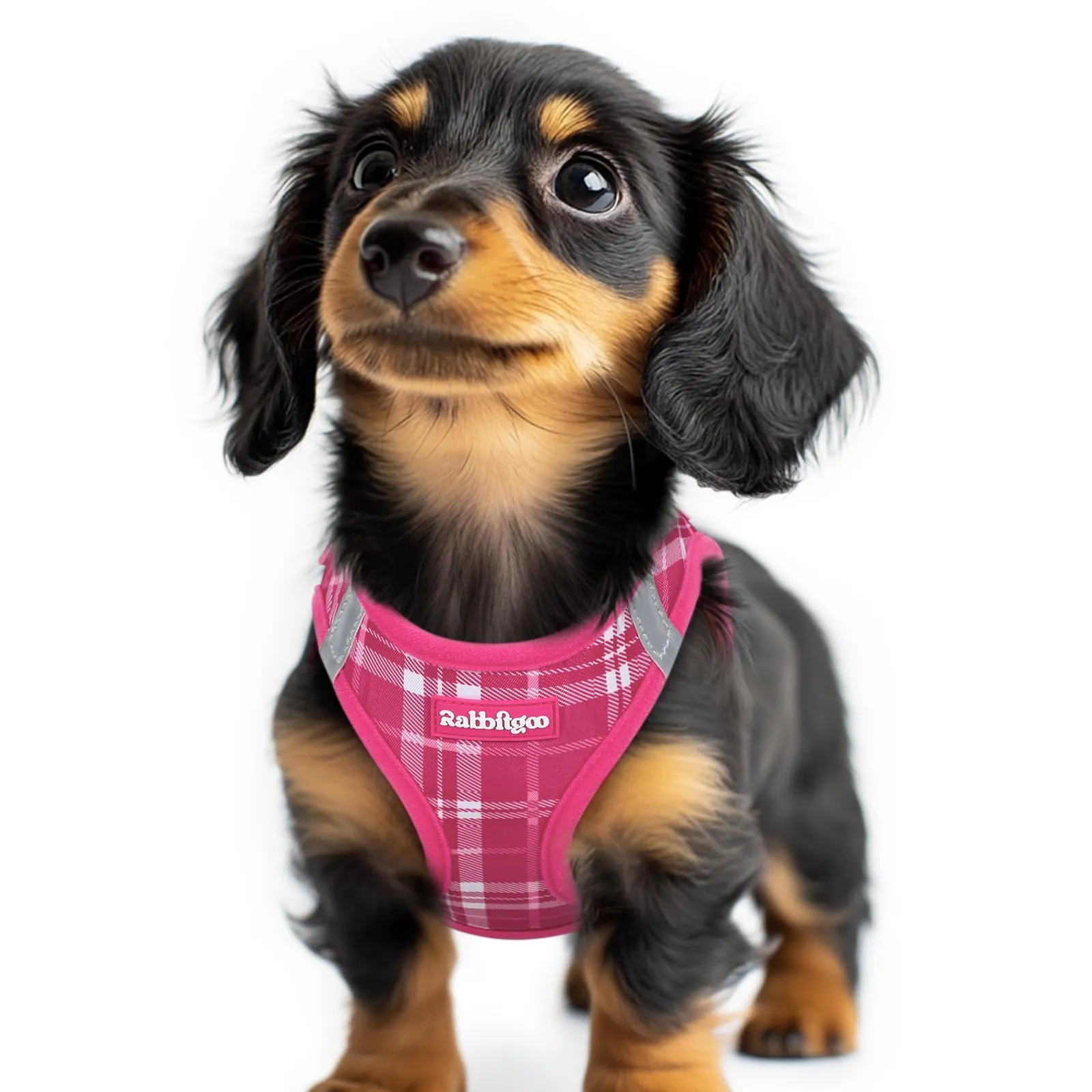 rabbitgoo Pettorina Cane Taglia Piccola, Leggero Morbido, Tartan Fucsia XXS - immagine 1