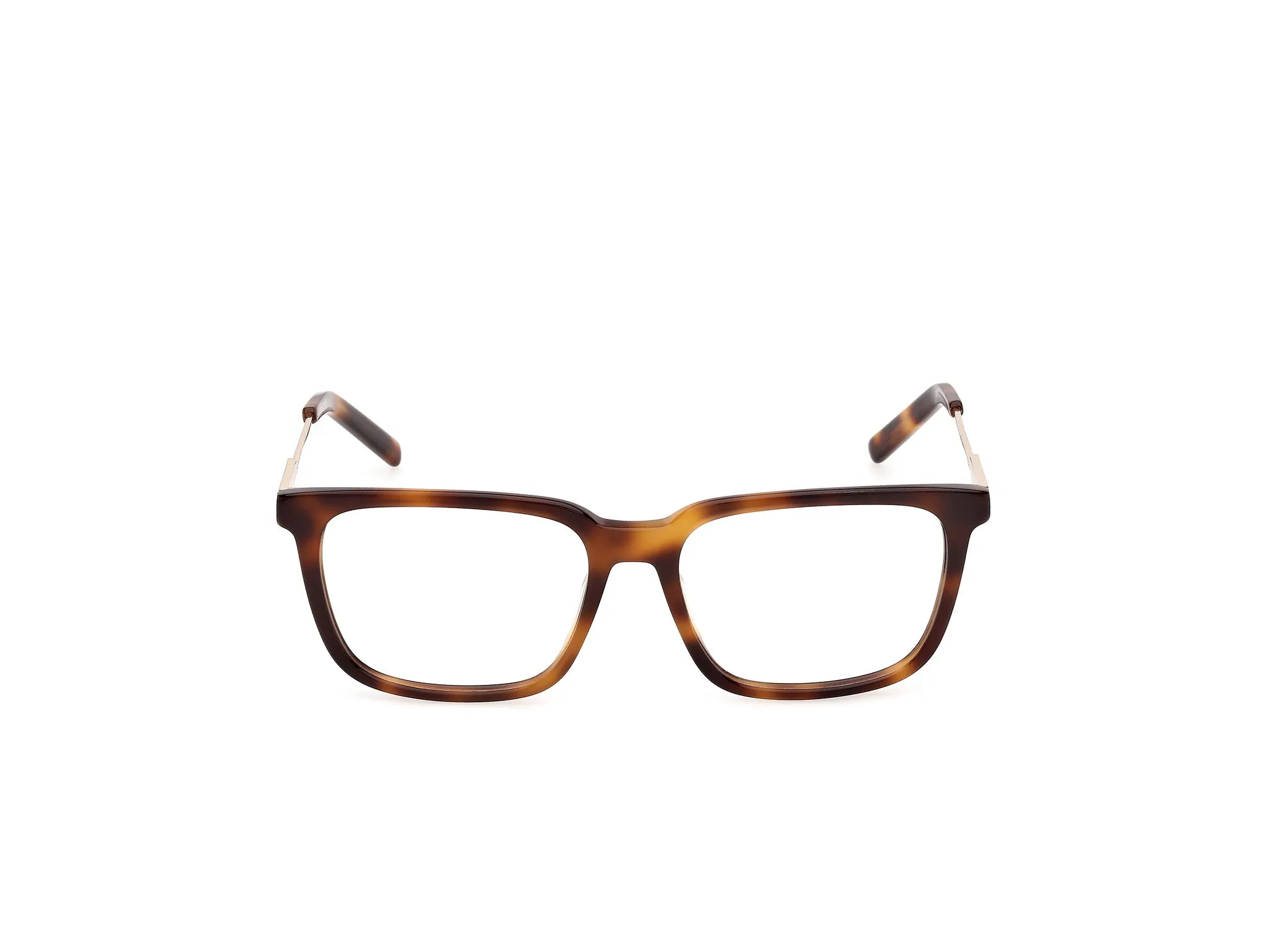 GCDS GD5061 52 Montature da vista Acetato Havana Squadrata Normale - immagine 2