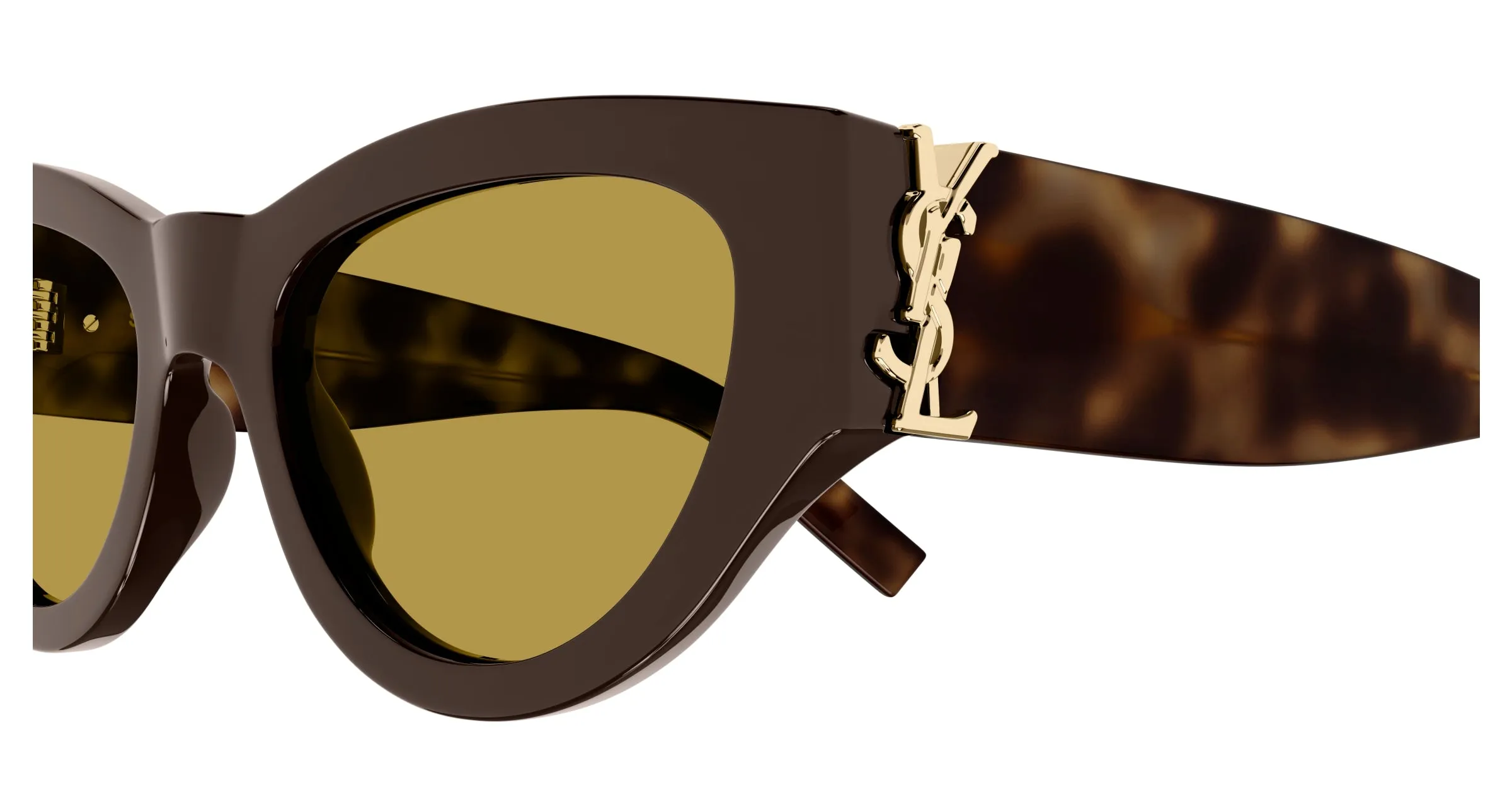 SAINT LAURENT SL M94/F 007 Occhiali da sole Acetato Marrone Marrone Cat Eye - immagine 3