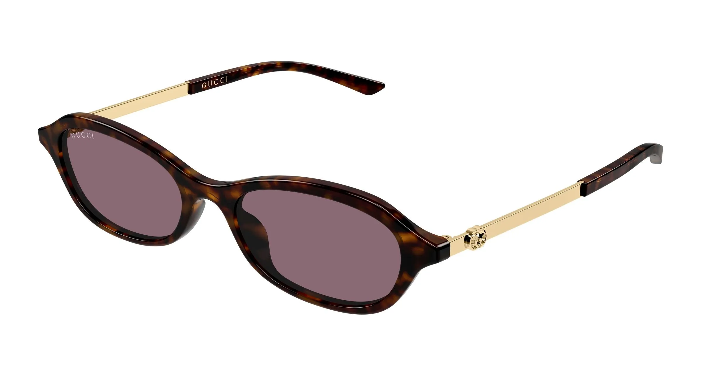 Gucci GG2212S 003 Occhiali da sole Acetato Havana Viola Rotonda - immagine 1