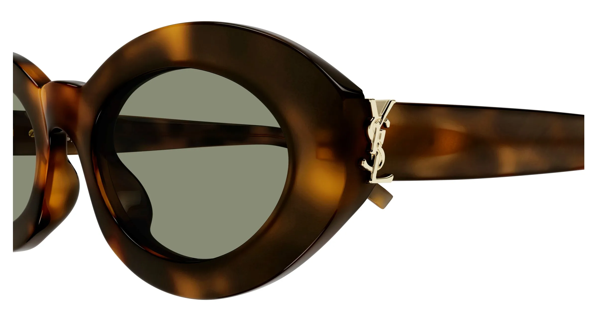 SAINT LAURENT SL M136/F 002 Occhiali da sole Acetato Havana Verde Rotonda - immagine 3