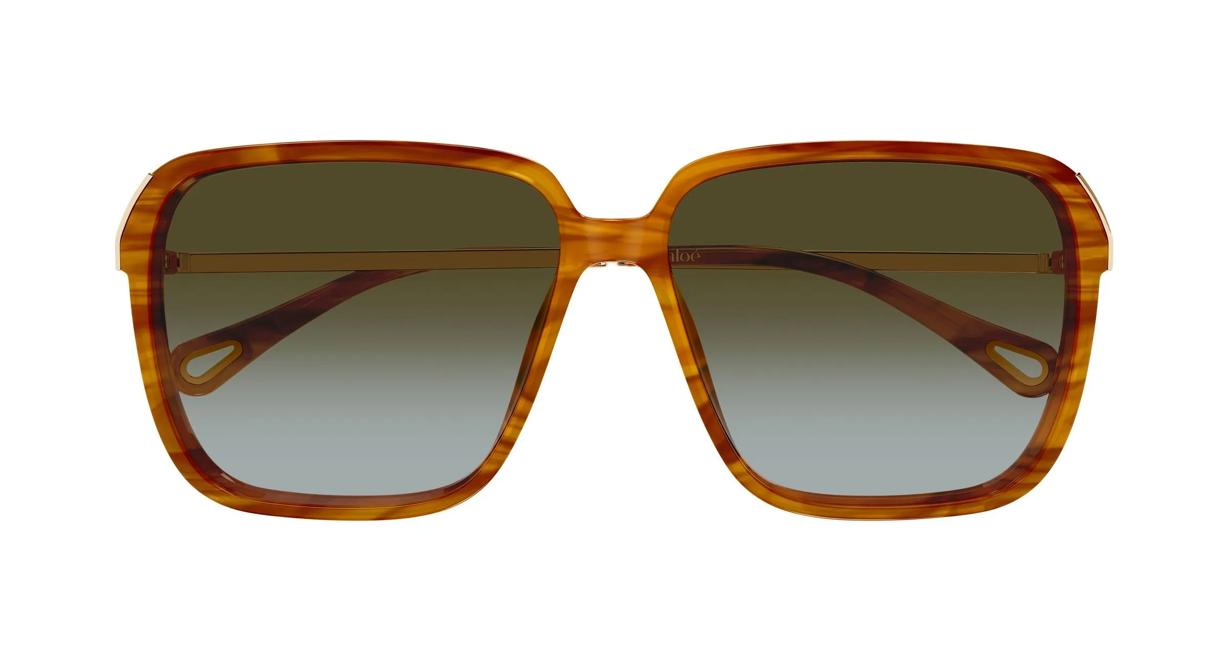 Chloé CH0405S 003 Occhiali da sole Acetato Havana Verde Squadrata Sfumato - immagine 2