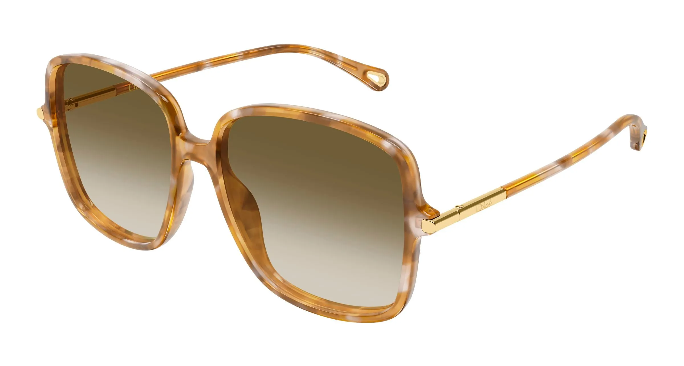 Chloé CH0396S 003 Occhiali da sole Acetato Havana Marrone Squadrata Sfumato - immagine 1