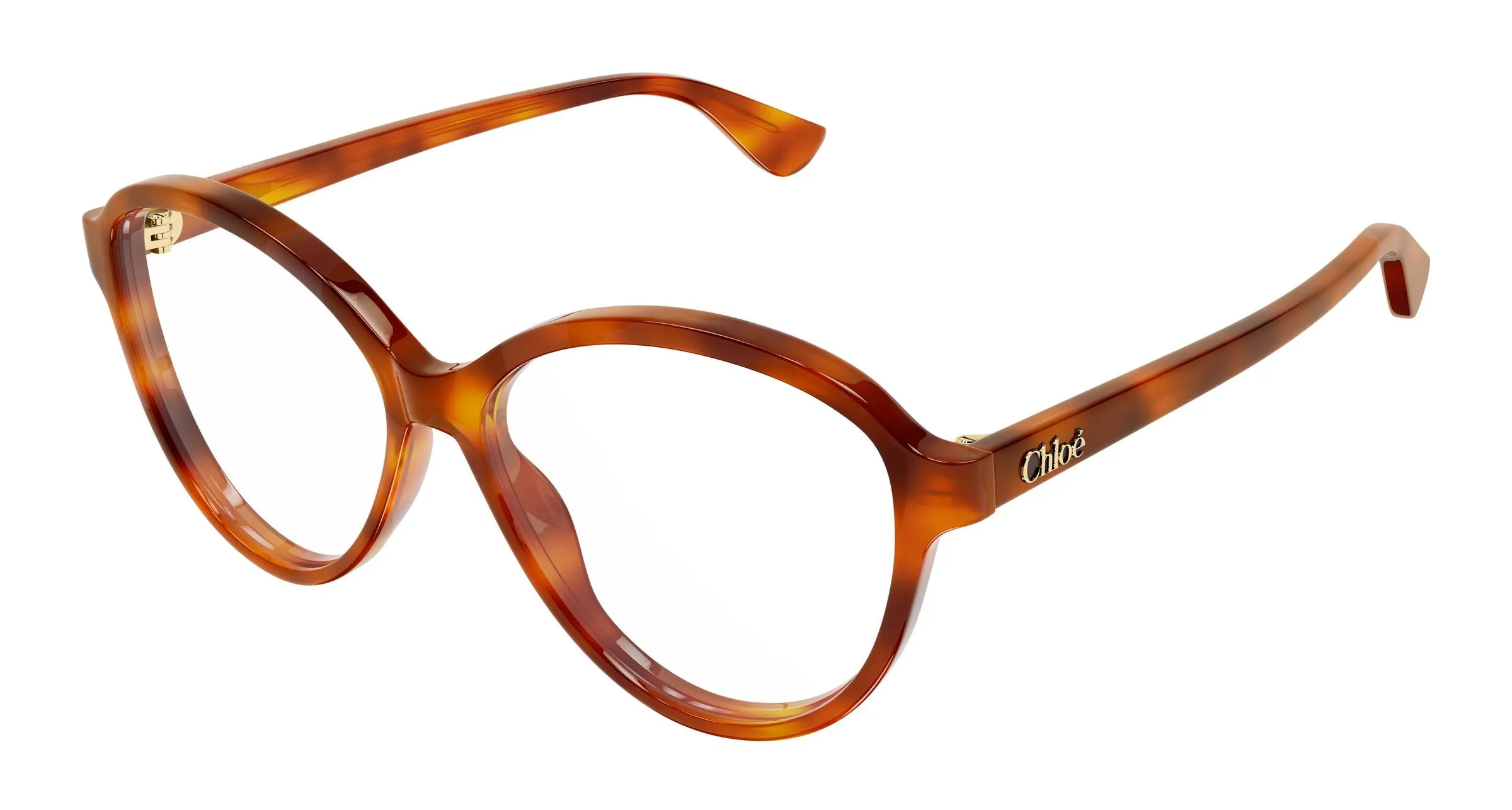 Chloé CH0392O 002 Montature da vista Acetato Havana Trasparente Rotonda - immagine 1