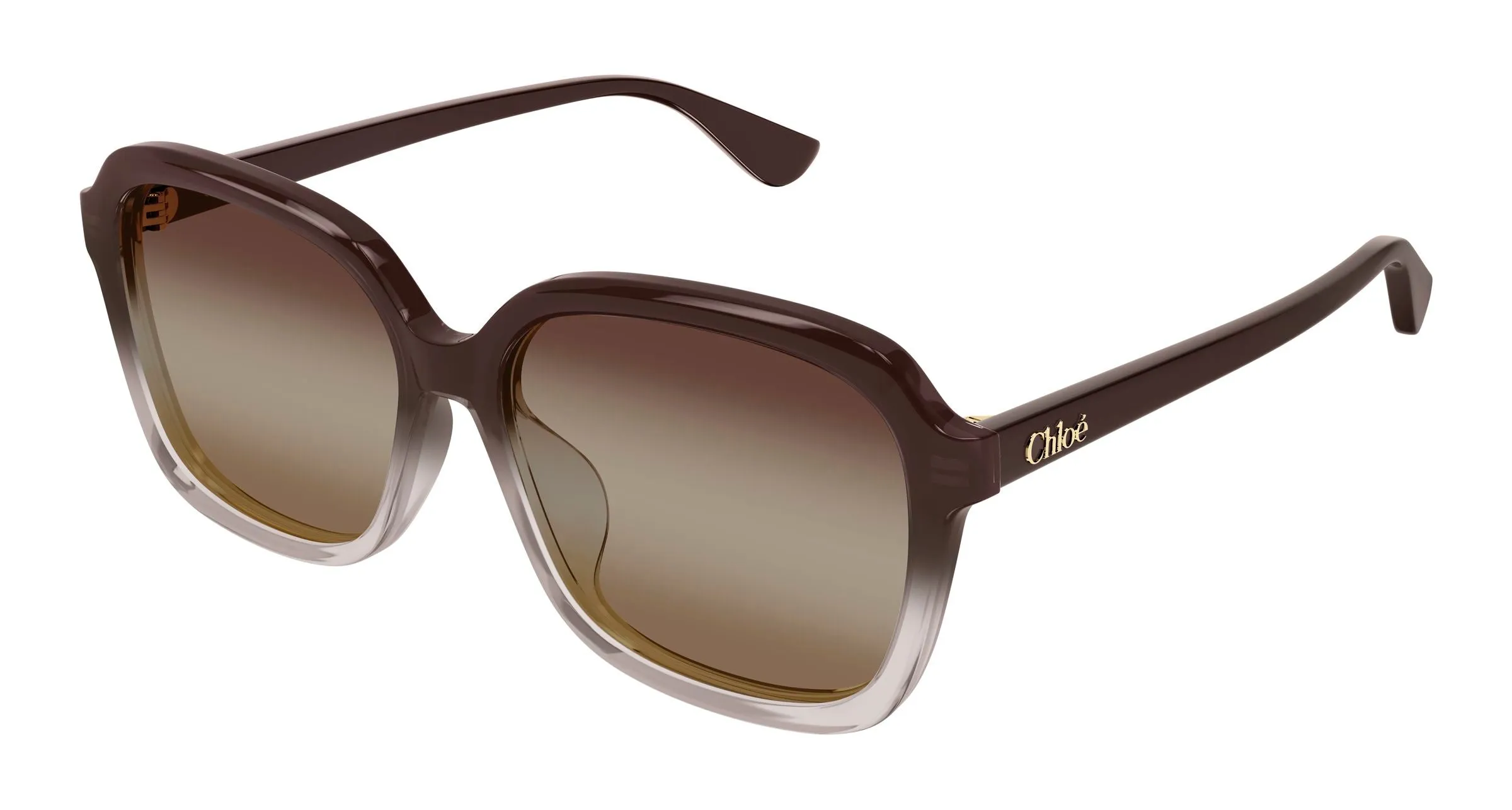 Chloé CH0390SK 003 Occhiali da sole Acetato Marrone Marrone Squadrata Sfumato - immagine 1