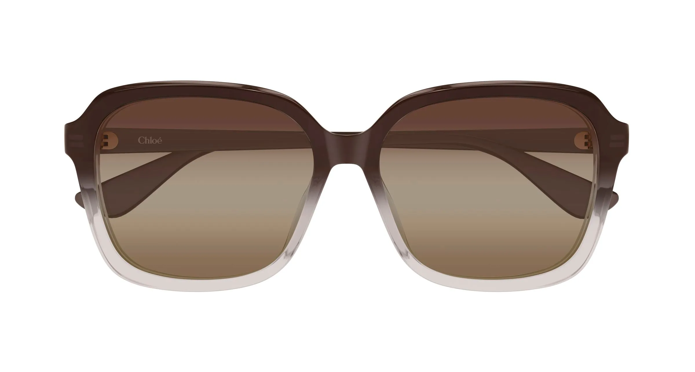 Chloé CH0390SK 003 Occhiali da sole Acetato Marrone Marrone Squadrata Sfumato - immagine 2
