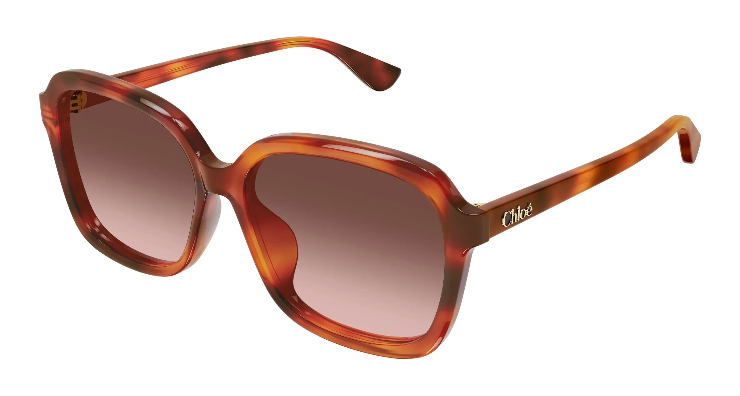 Chloé CH0390SK 002 Occhiali da sole Acetato Havana Rame Squadrata Sfumato - immagine 1