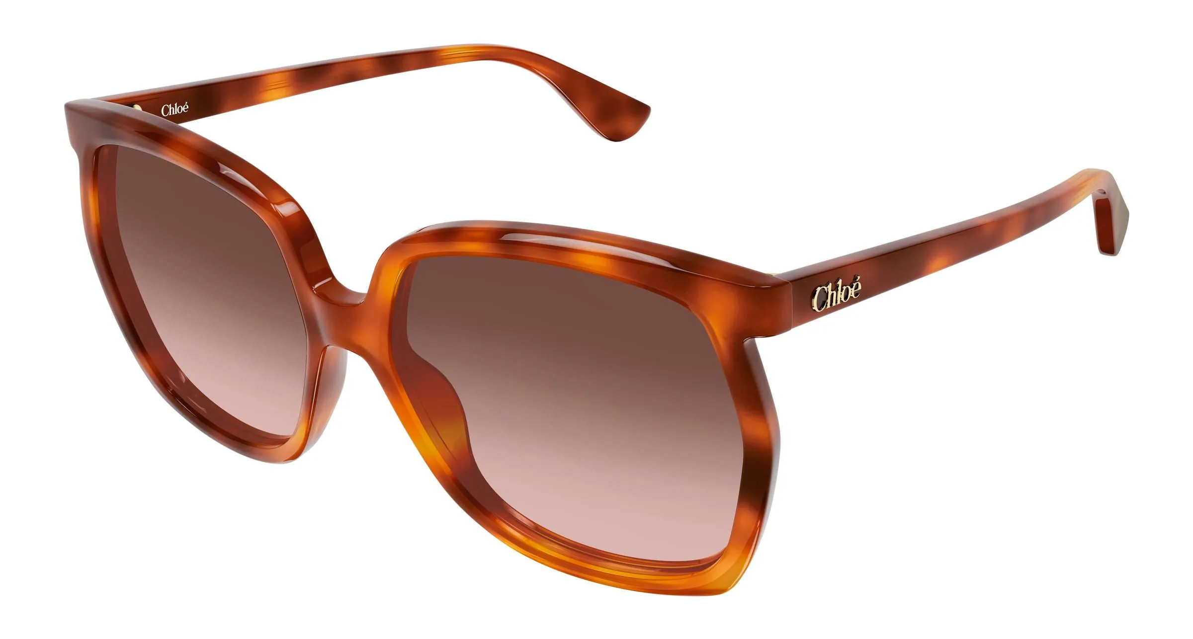Chloé CH0389S 002 Occhiali da sole Acetato Havana Rame Squadrata Sfumato - immagine 1