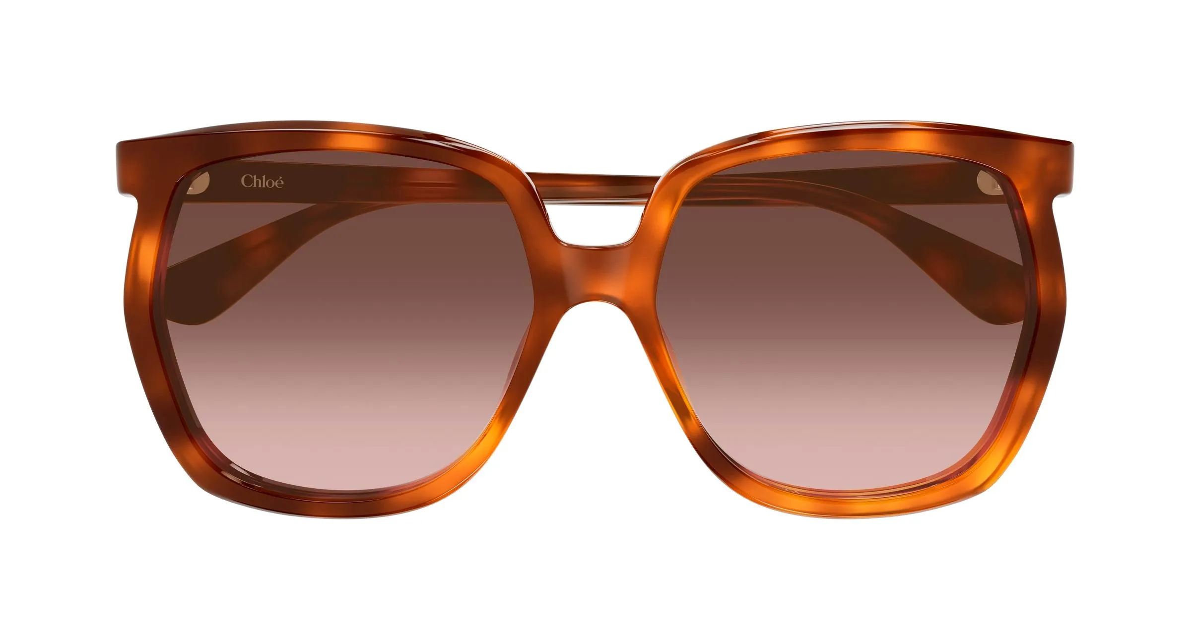 Chloé CH0389S 002 Occhiali da sole Acetato Havana Rame Squadrata Sfumato - immagine 2