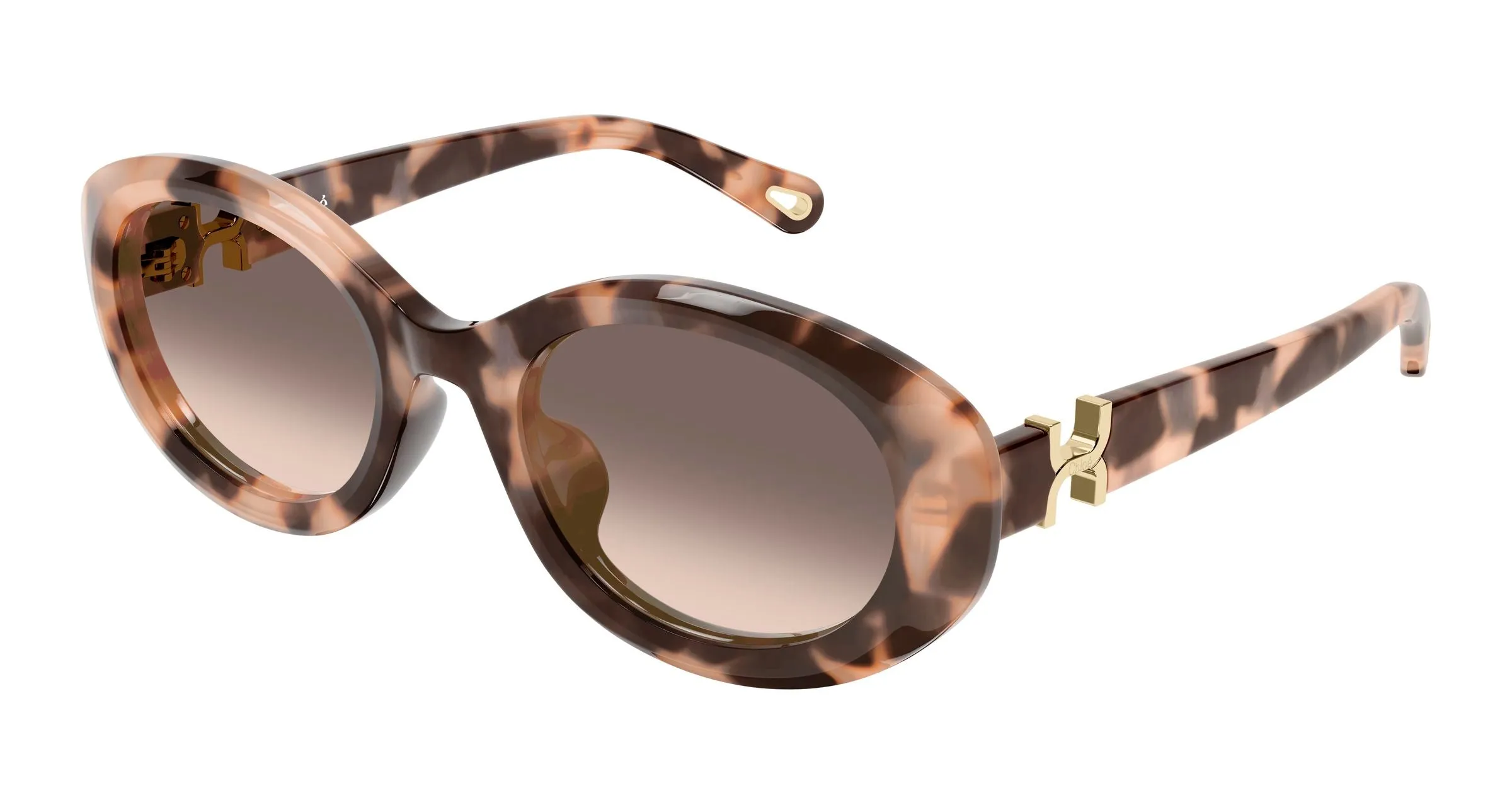 Chloé CH0323SK 006 Occhiali da sole Acetato Havana Marrone Rotonda Sfumato - immagine 1