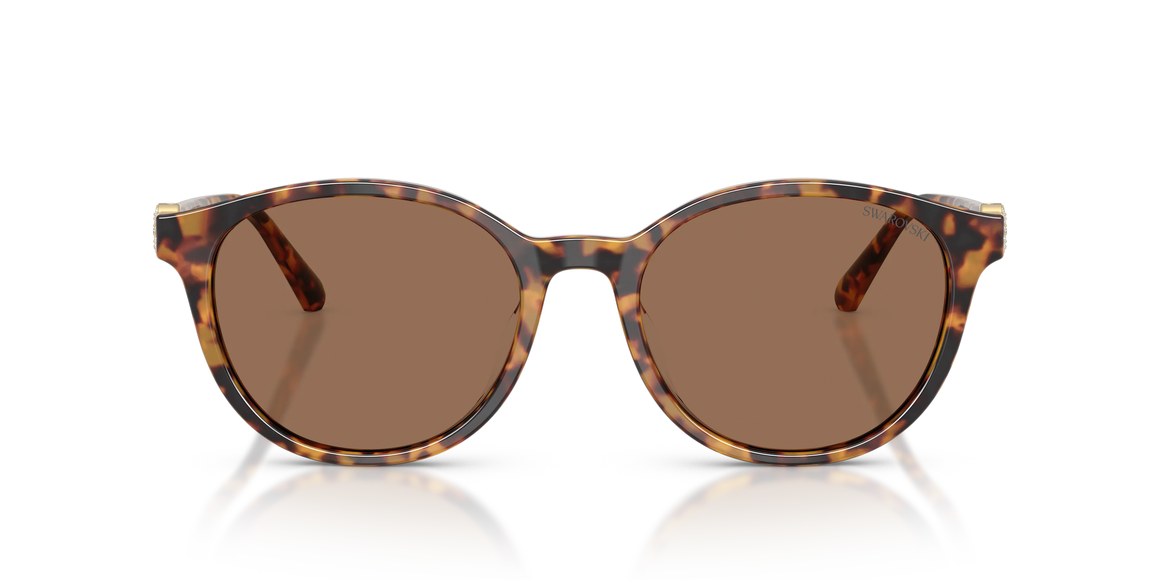 Swarovski SK6075D 104073 Occhiali da sole Acetato Tartaruga Marrone Pantos Normale - immagine 3