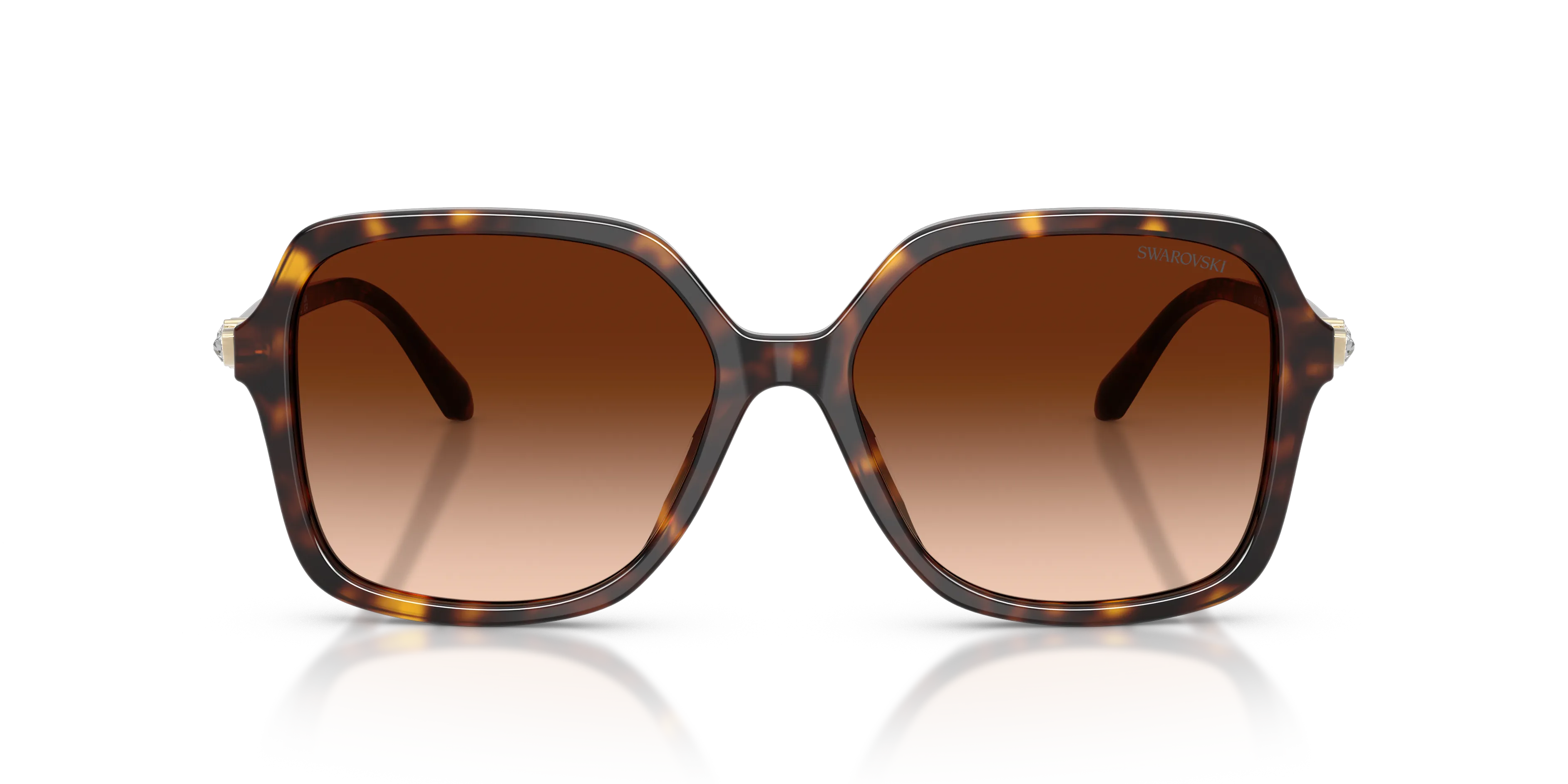 Swarovski SK6067 100274 Occhiali da sole Acetato Tartaruga Marrone Squadrata Normale Sfumato - immagine 3