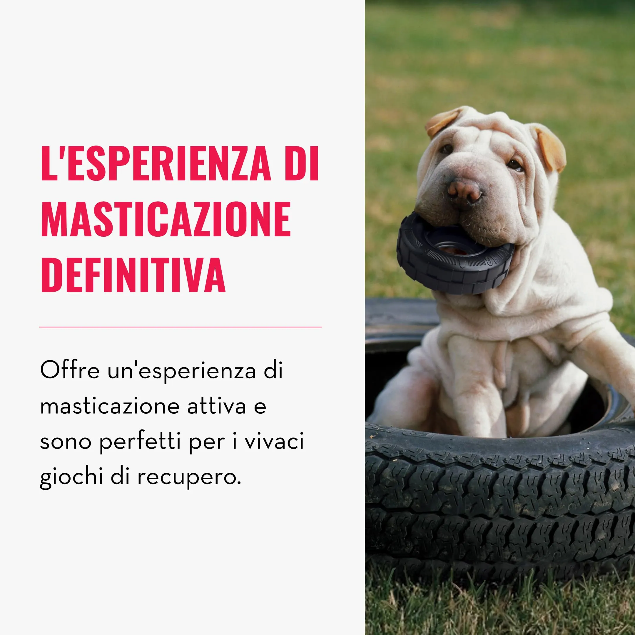 KONG Extreme Tires Giocattolo a Pneumatico Riempibile, Taglia Media/Grande - immagine 3