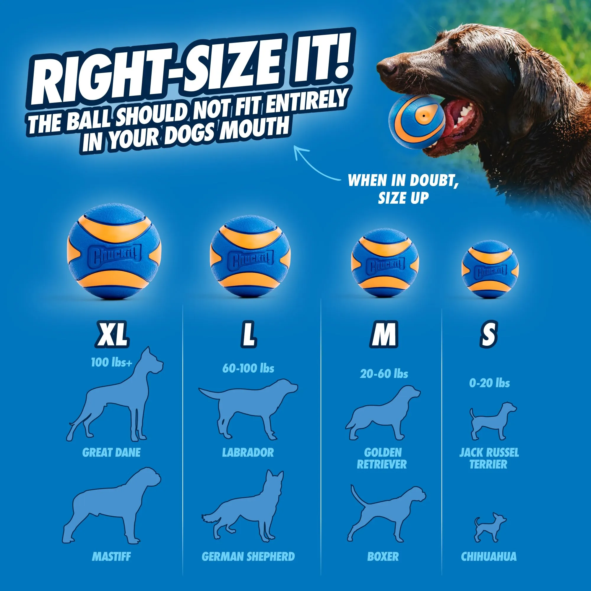 Chuckit! Ultra Squeaker Ball - Palla da Inseguimento e Cigolante per Cani - Alta Resistenza al Rimbalzo - Dimensioni Extra Large - 9 cm di Diametro - immagine 6