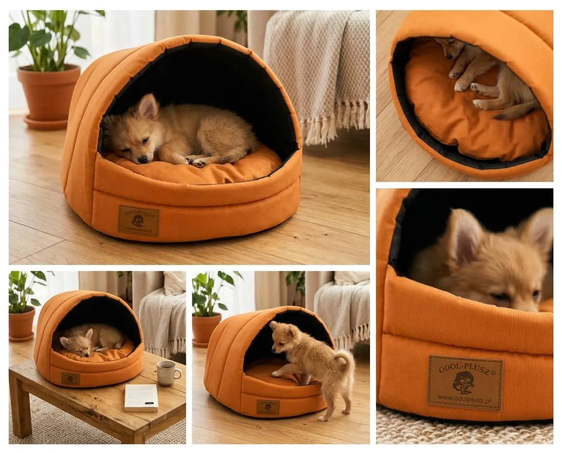 Cuccia per Cani, Cesta, Letto, Casa - Taglia S M ([M] 36 x 49 x 45 cm, Arancione) - immagine 3