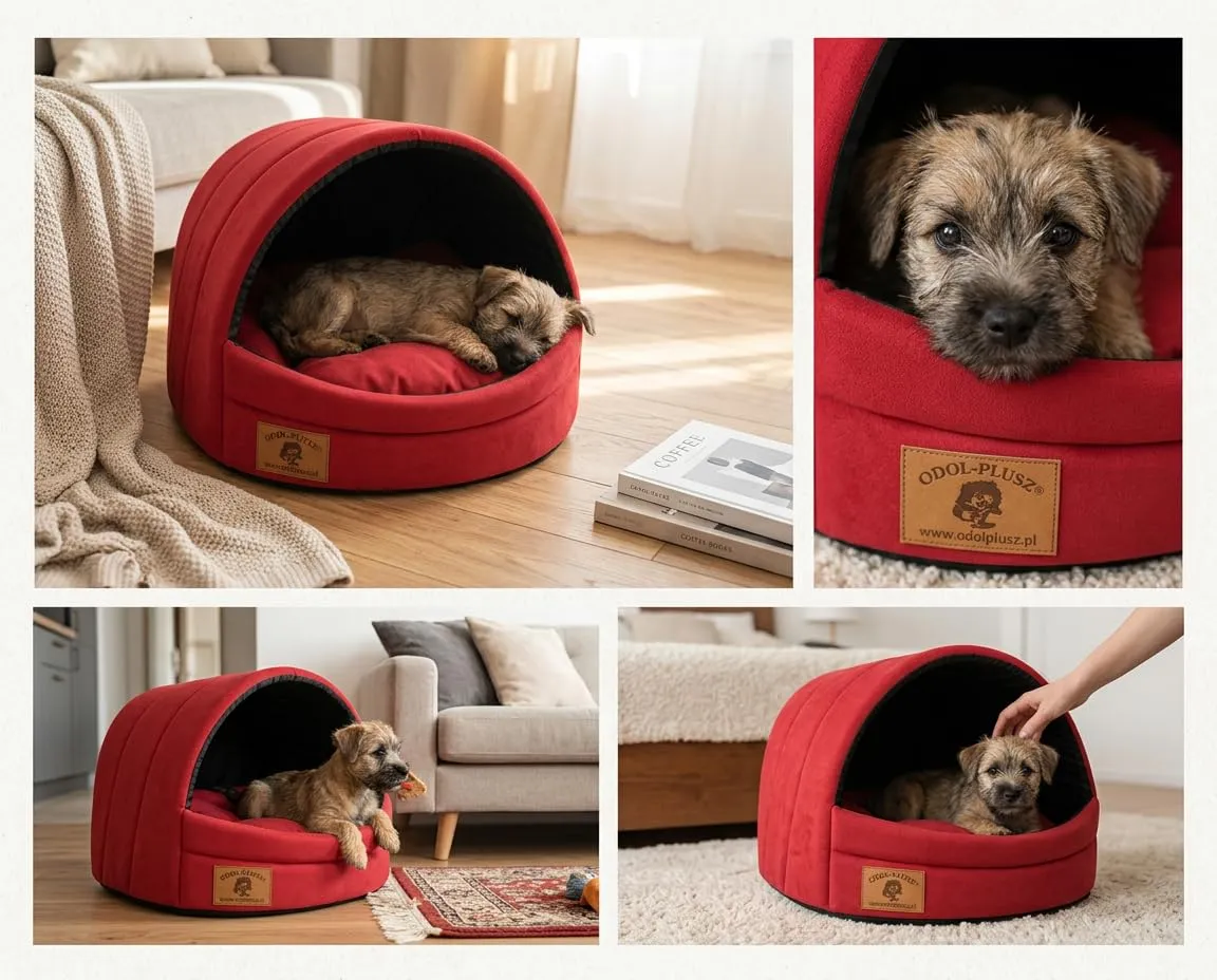 ODOLPLUSZ Cuccia per cani esclusiva casa cane o gatto | 2 misure confortevoli e lavabili (rosso, M) - immagine 3