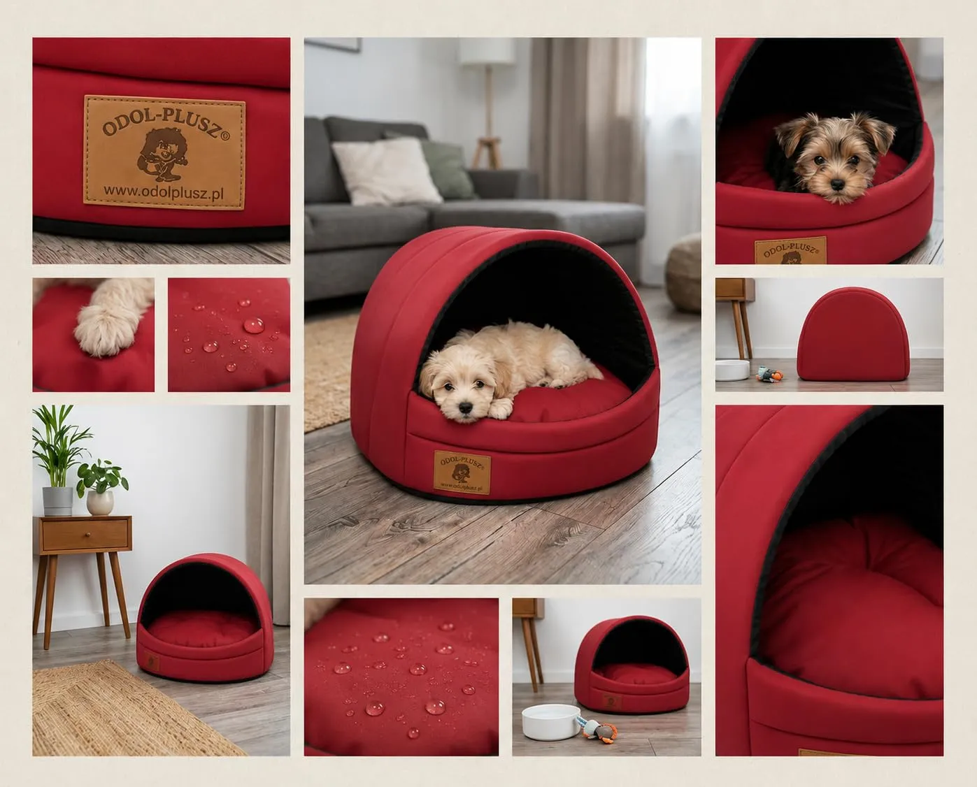 ODOLPLUSZ Cuccia per cani esclusiva casa cane o gatto | 2 misure confortevoli e lavabili (rosso, M) - immagine 5