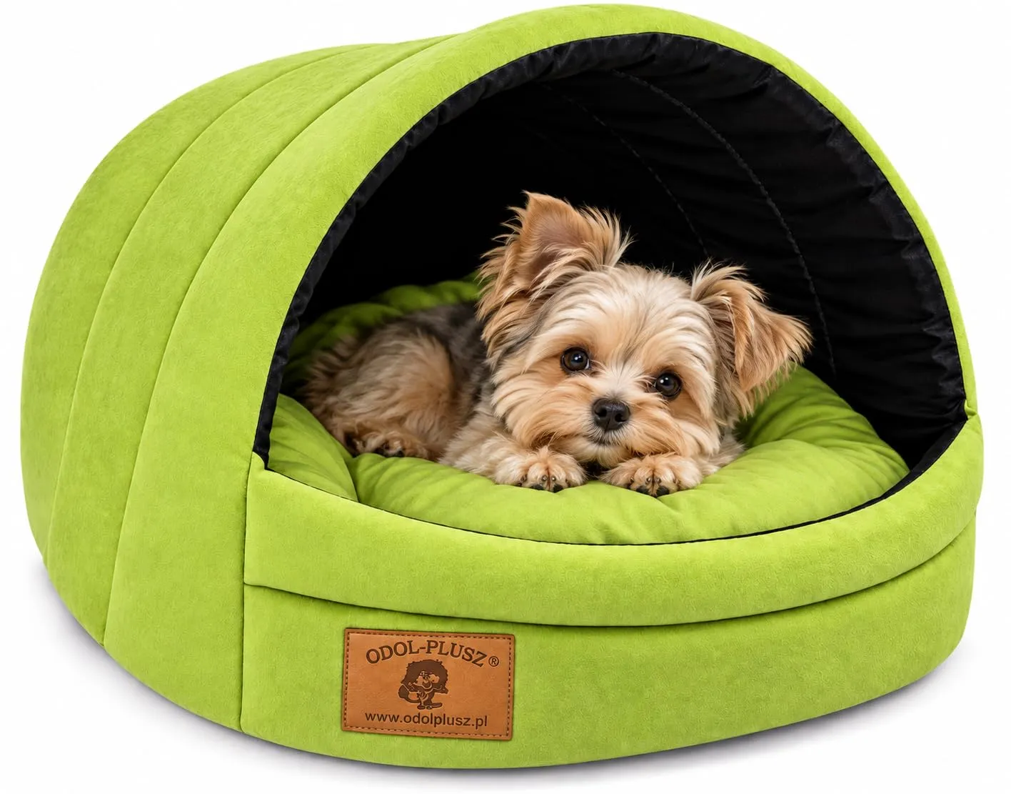 Cuccia per cani con letto taglia S/M (M, 36 x 49 x 45 cm, verde) - immagine 1