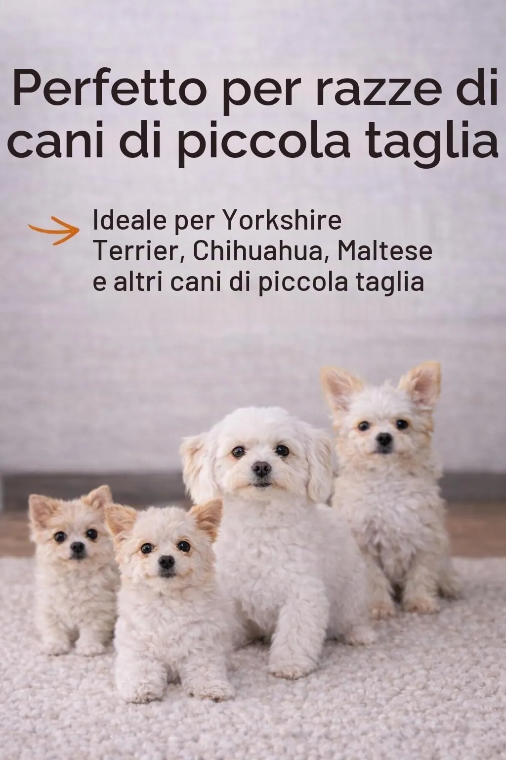 Cuccia per cani con letto taglia S/M (M, 36 x 49 x 45 cm, verde) - immagine 6