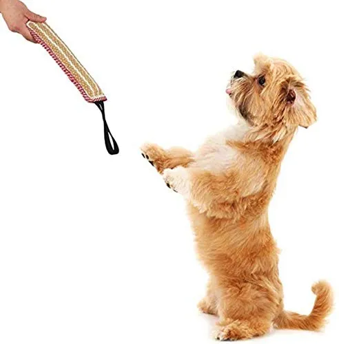2 pezzi Giocattolo per rimorchiatore per cani Morso di cane Giocattolo per rimorchiatore con 2 robuste maniglie , Morso di iuta resistente Cuscino per morso per cani - immagine 7