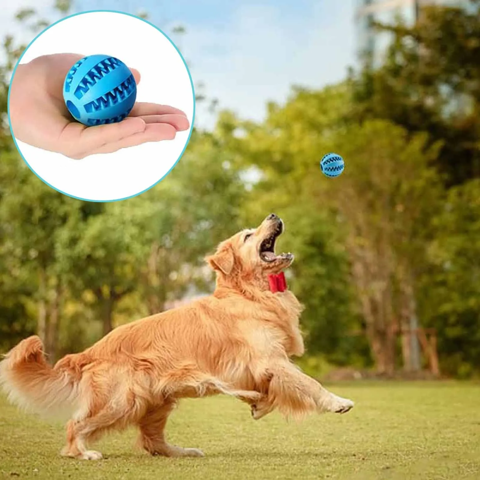 ZHIHUITL Palline per Cani,2 pezzi per Pulito dei Denti di Cane,Palla da Masticare per Cani,Palla per L'alimentazione del Cane,Giocattolo interattivo Resistente per Cani-5cm(blu/arancione) - immagine 6