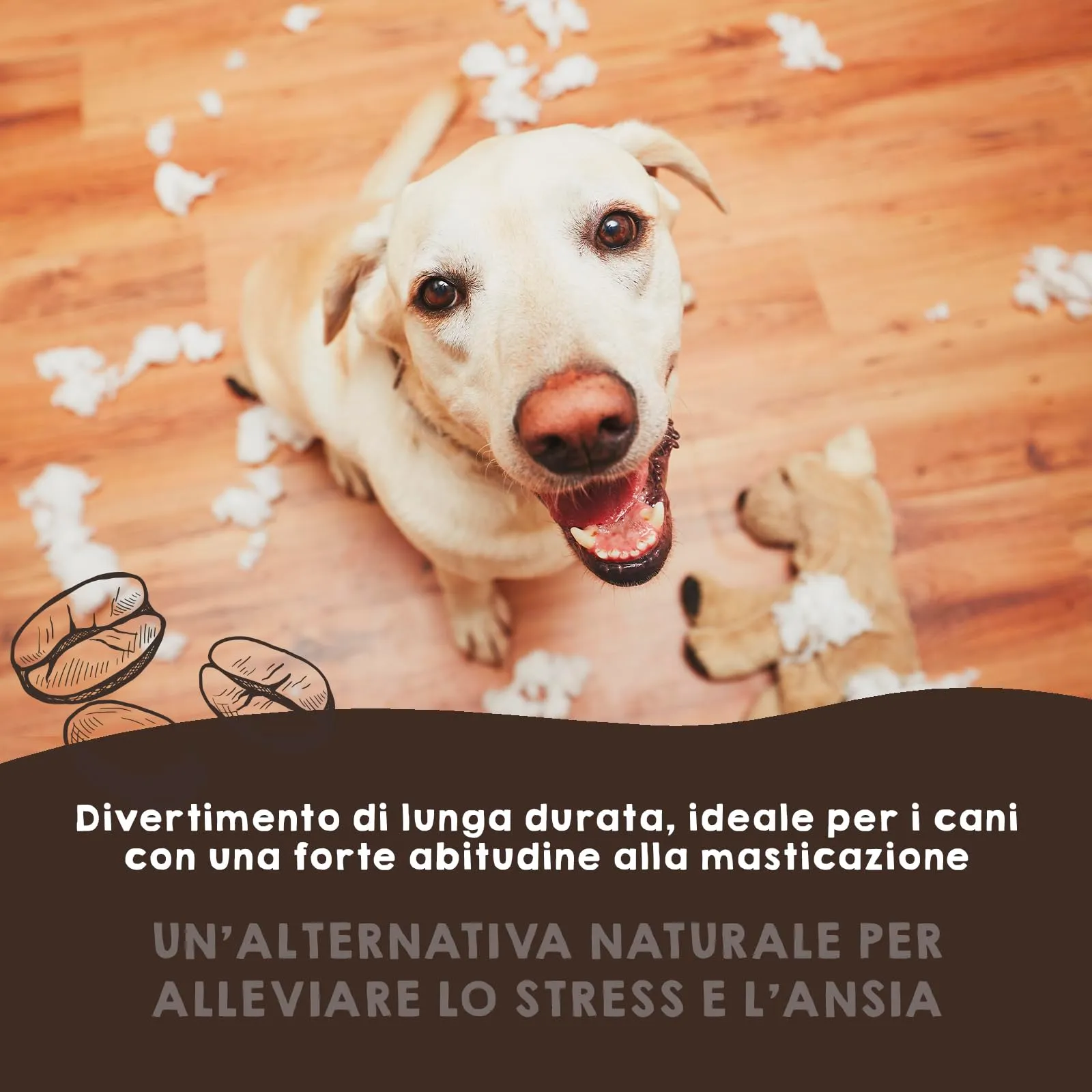 MAIKAI Legno di Caffè per Cani, 2 Masticativi Naturali, Taglia S - immagine 6