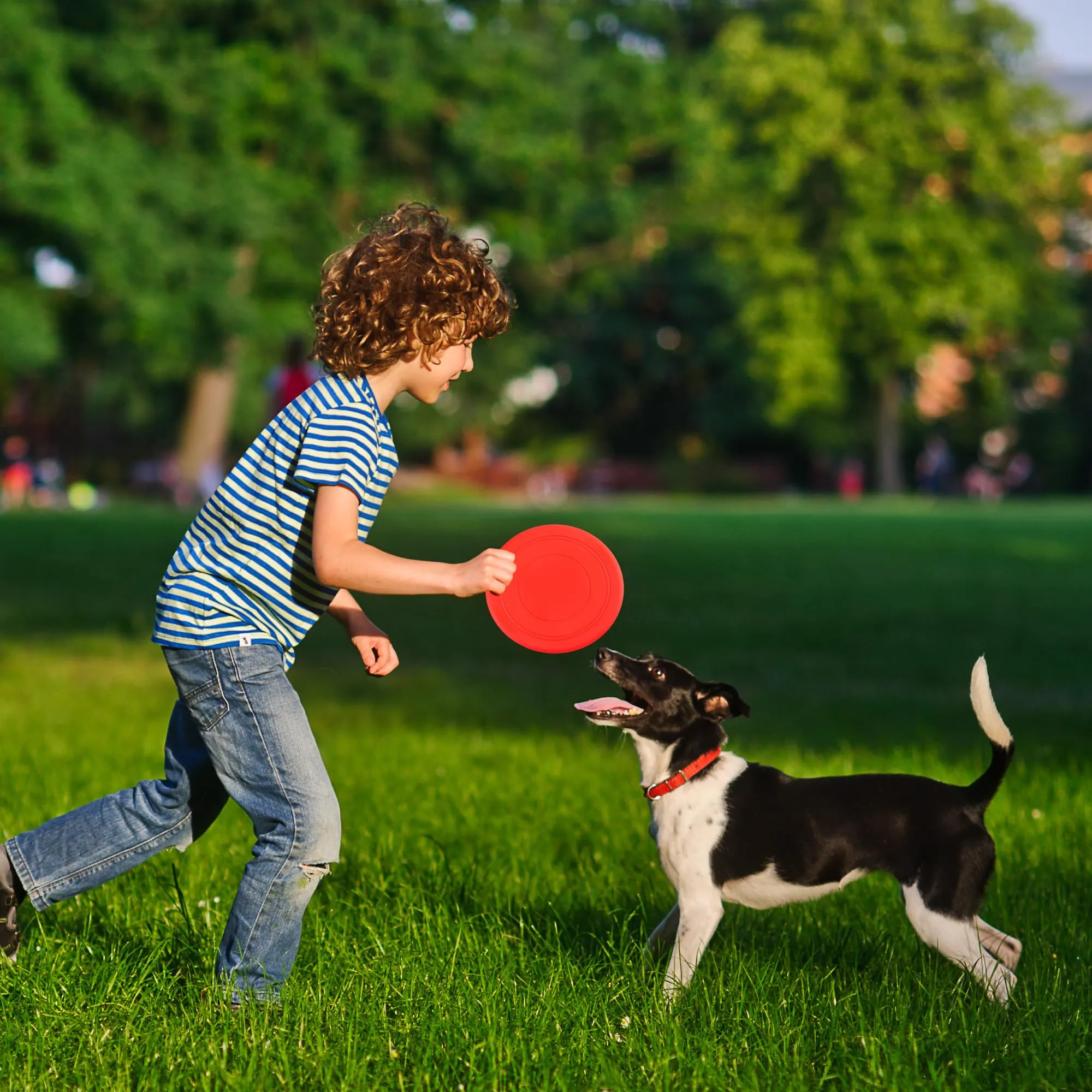 YiliYa 7 Pezzi Frisbee per Cani, 18cm Giocattolo per Frisbee di Gomma, Frisbee Pieghevole, Giocattolo Interattivo per Addestramento, Tiro, Cattura e Gioca(7 Colori) - immagine 5