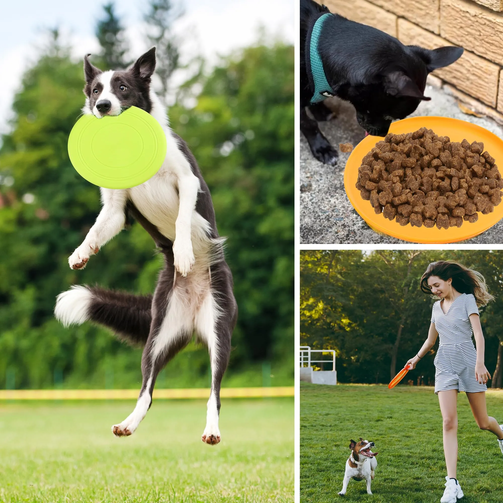 YiliYa 7 Pezzi Frisbee per Cani, 18cm Giocattolo per Frisbee di Gomma, Frisbee Pieghevole, Giocattolo Interattivo per Addestramento, Tiro, Cattura e Gioca(7 Colori) - immagine 6