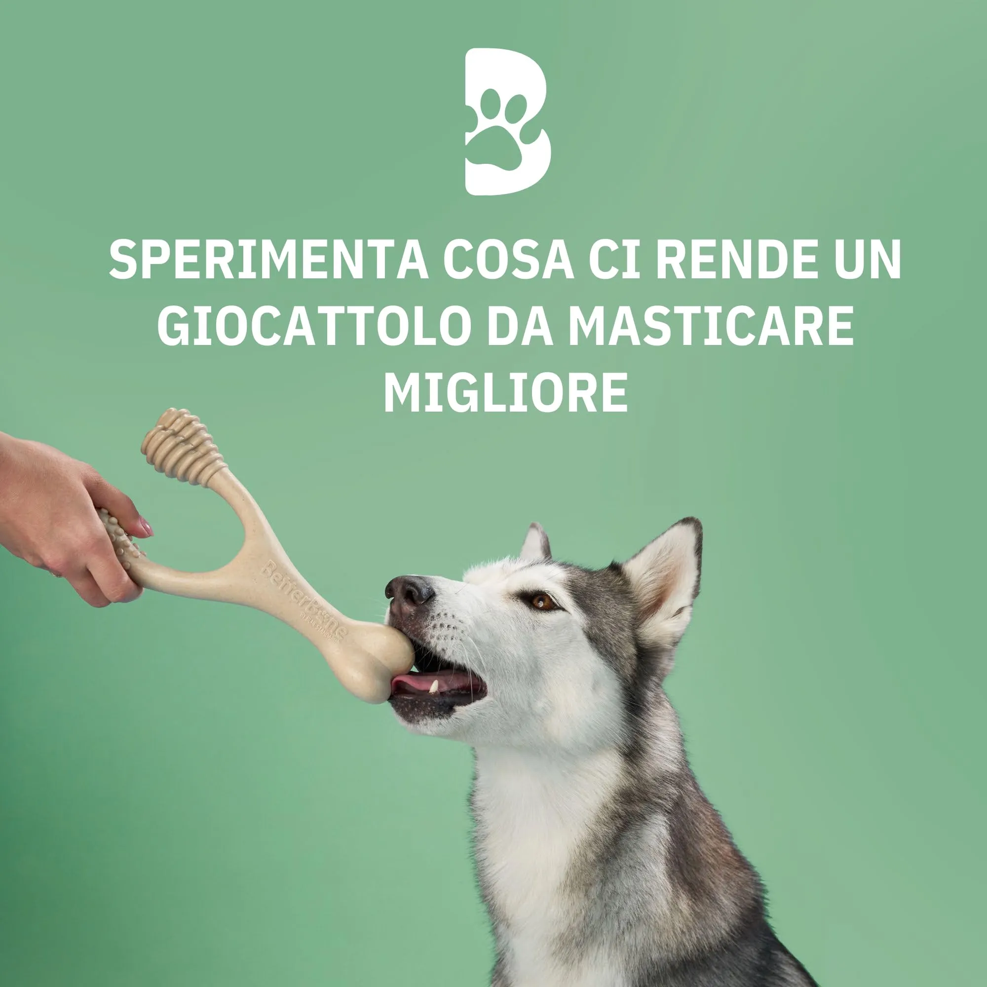 BetterBone - Giocattolo per cani da masticare - Large Medium Classic - Veggie - Senza nylon e OGM a base di cellulosa - Giocattolo da masticare con gusto neutro medio - Senza schegge e ipoallergenico - immagine 3