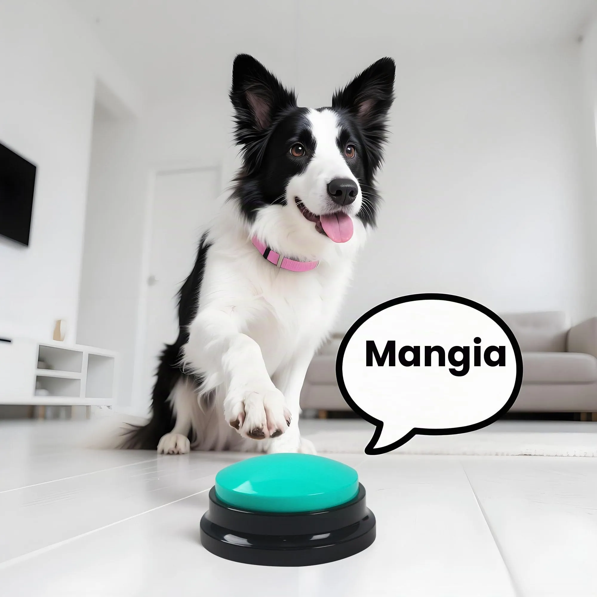 DUBUOZA 4 Pezzi Buzzer Button con 30 Secondi di Registrazione e Riproduzione Buzzer con Funzione di Registrazione Pulsanti per Cani per Allenamento e Giochi per Animali Domestici (4) - immagine 5